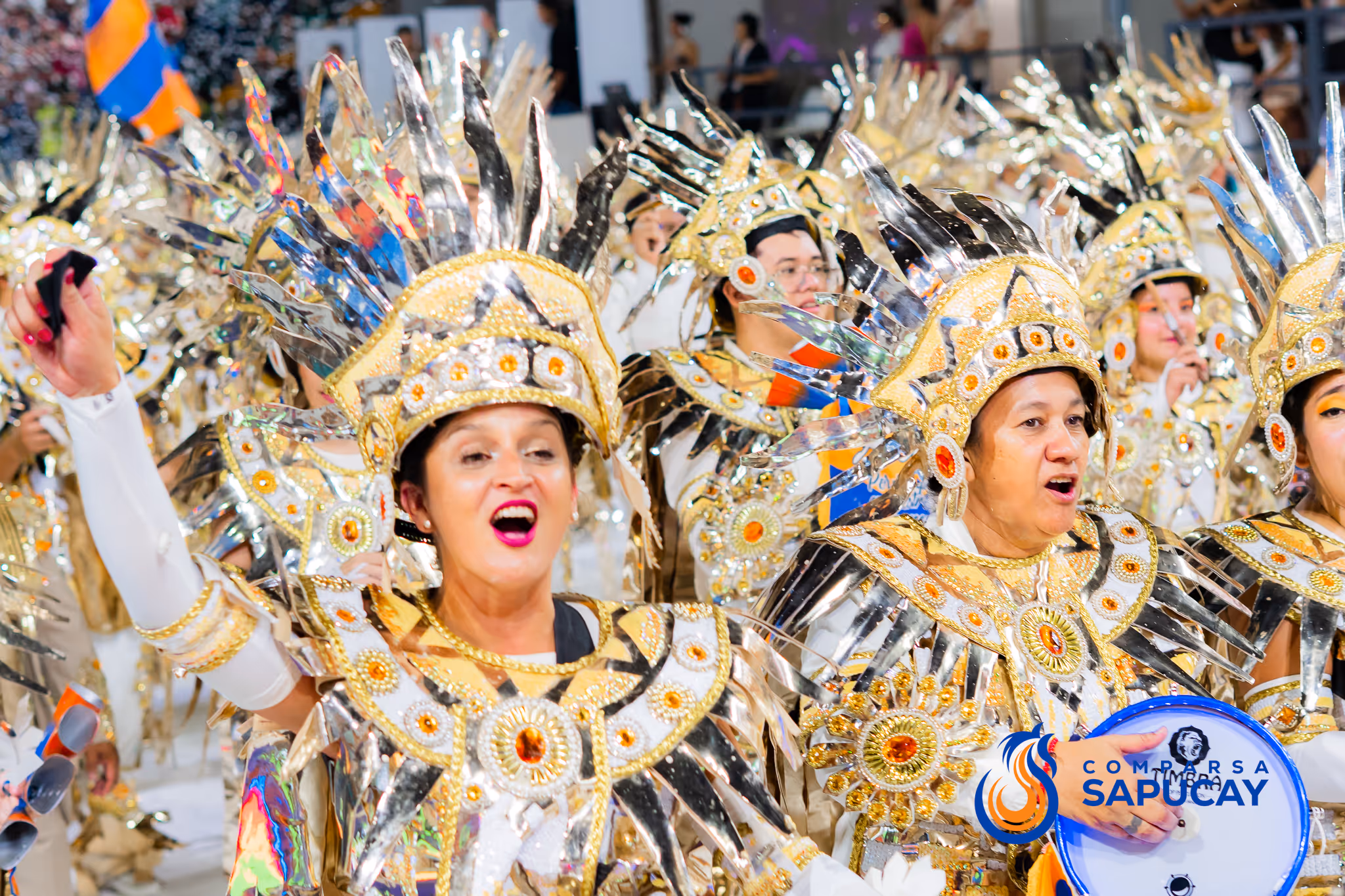 Galería de fotos del corso del Carnaval 2025