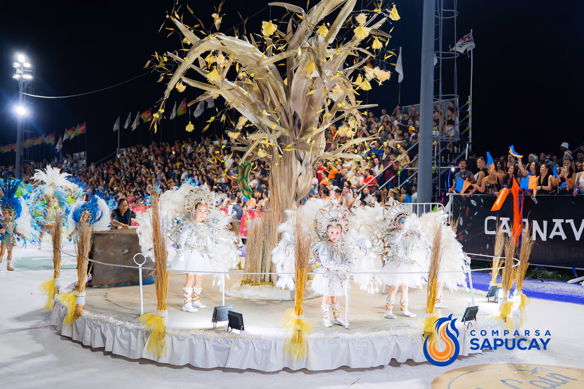 Galería de fotos del corso del Carnaval 2025