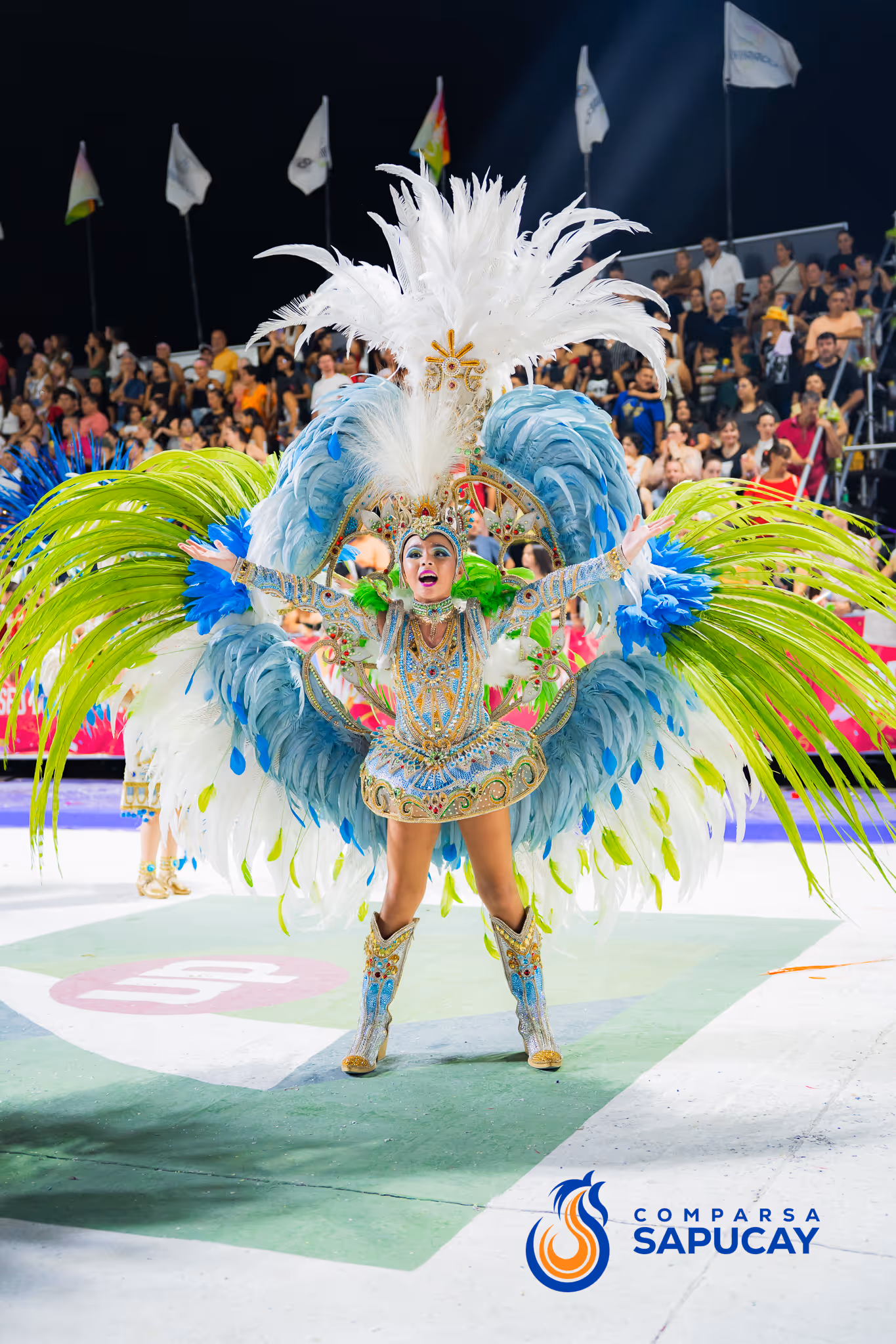 Galería de fotos del corso del Carnaval 2025