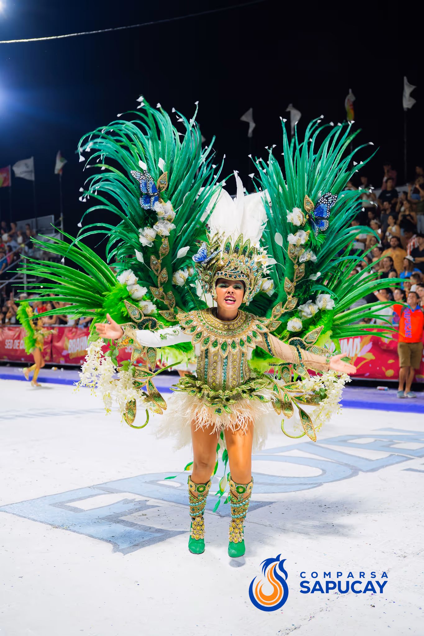 Galería de fotos del corso del Carnaval 2025