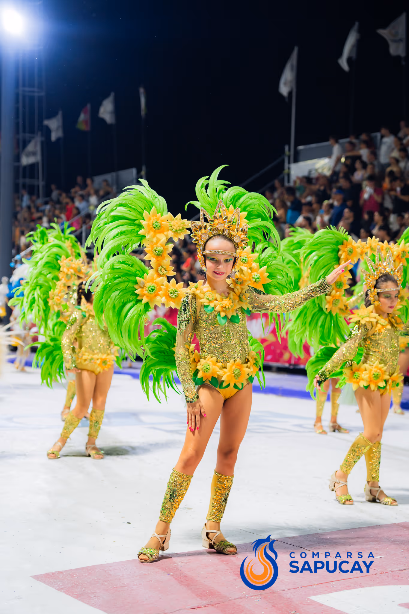 Galería de fotos del corso del Carnaval 2025