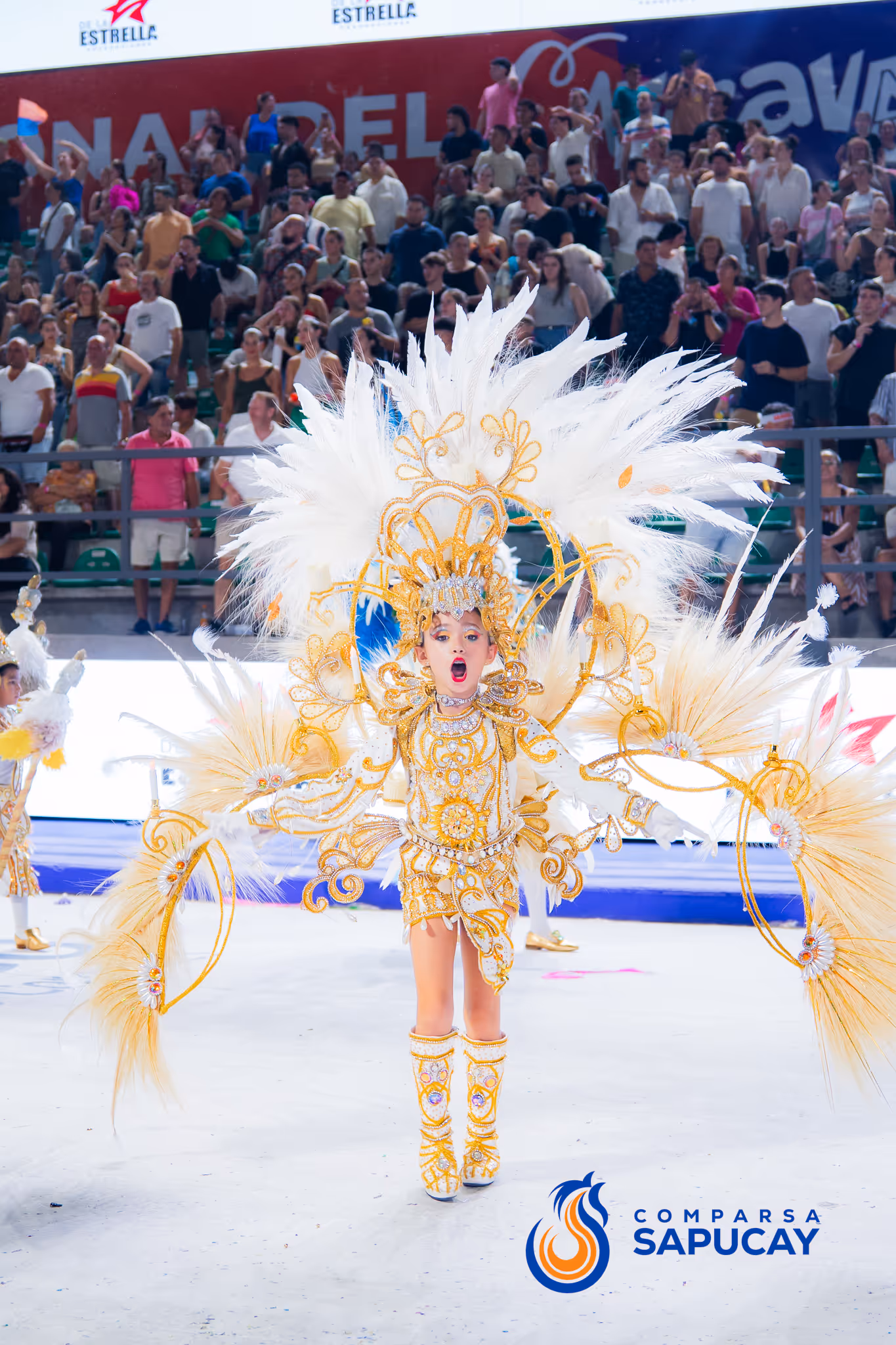 Galería de fotos del corso del Carnaval 2025