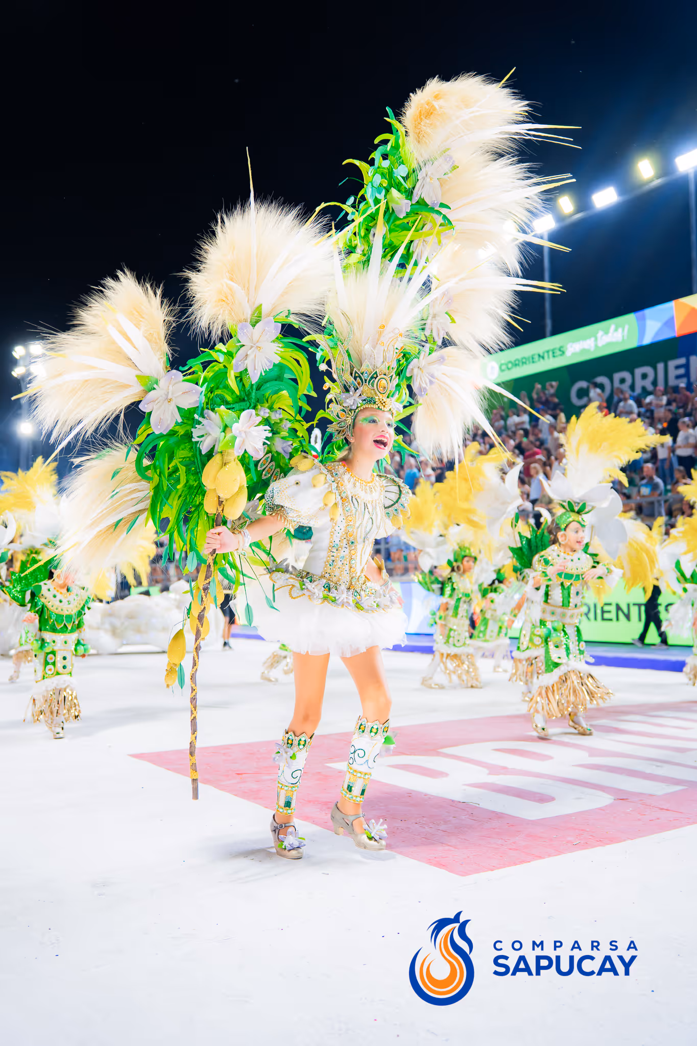 Galería de fotos del corso del Carnaval 2025