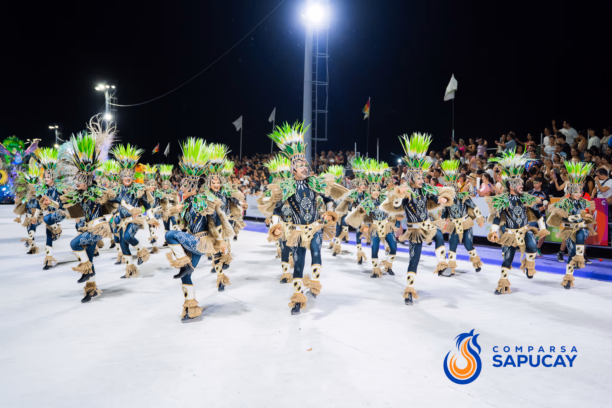 Galería de fotos del corso del Carnaval 2025