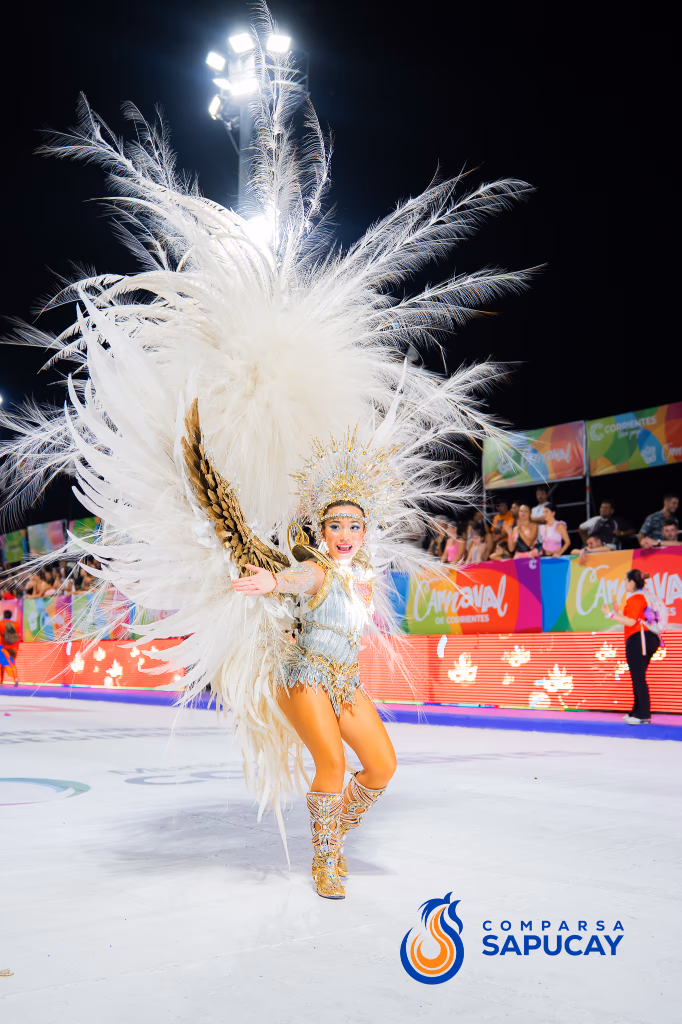 Galería de fotos del corso del Carnaval 2025