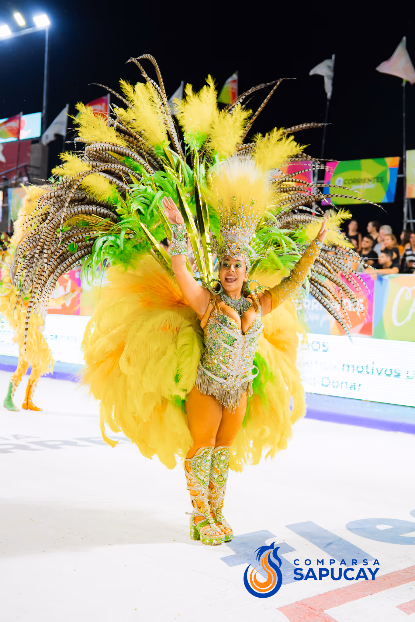 Galería de fotos del corso del Carnaval 2025