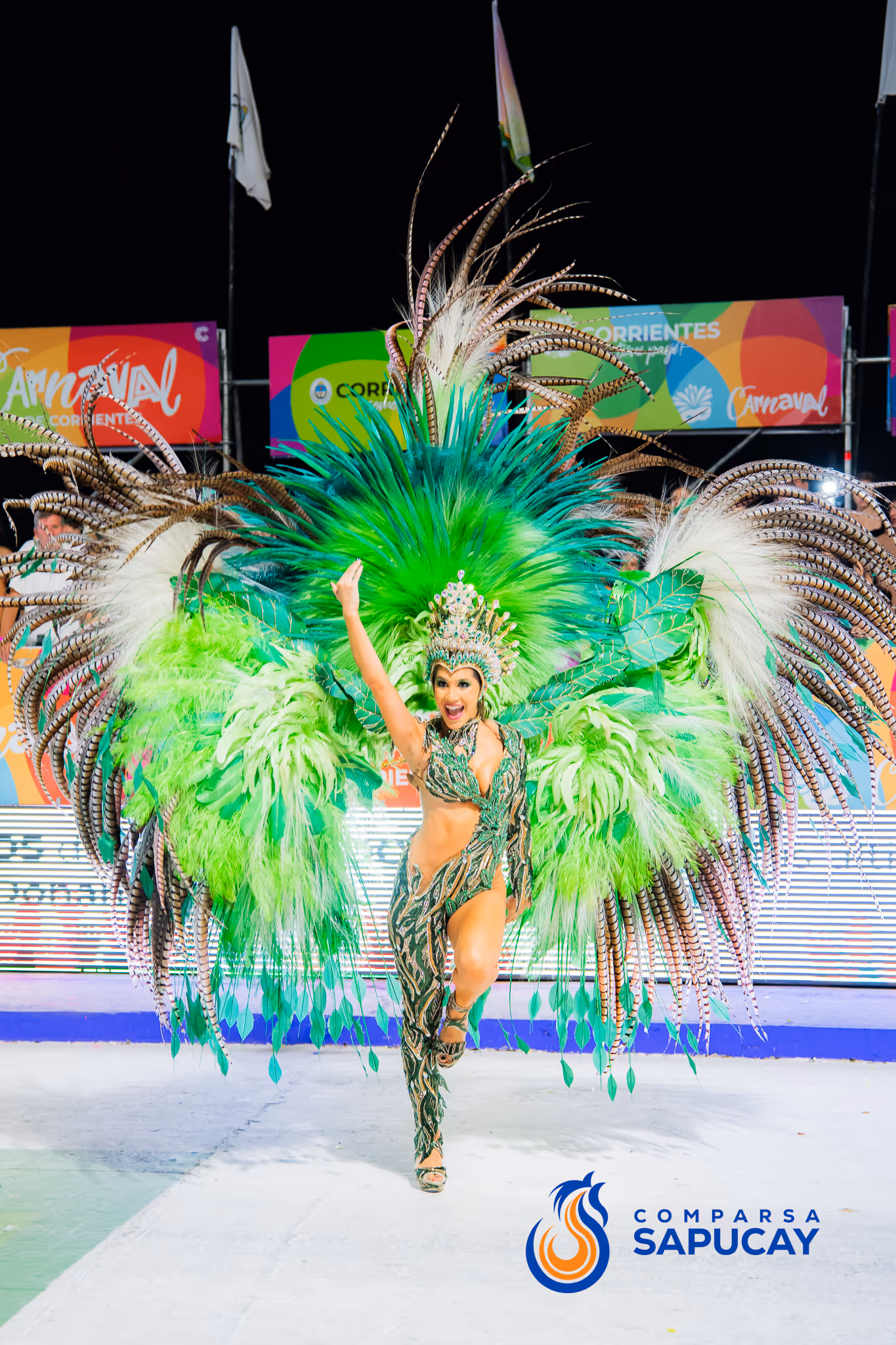 Galería de fotos del corso del Carnaval 2025