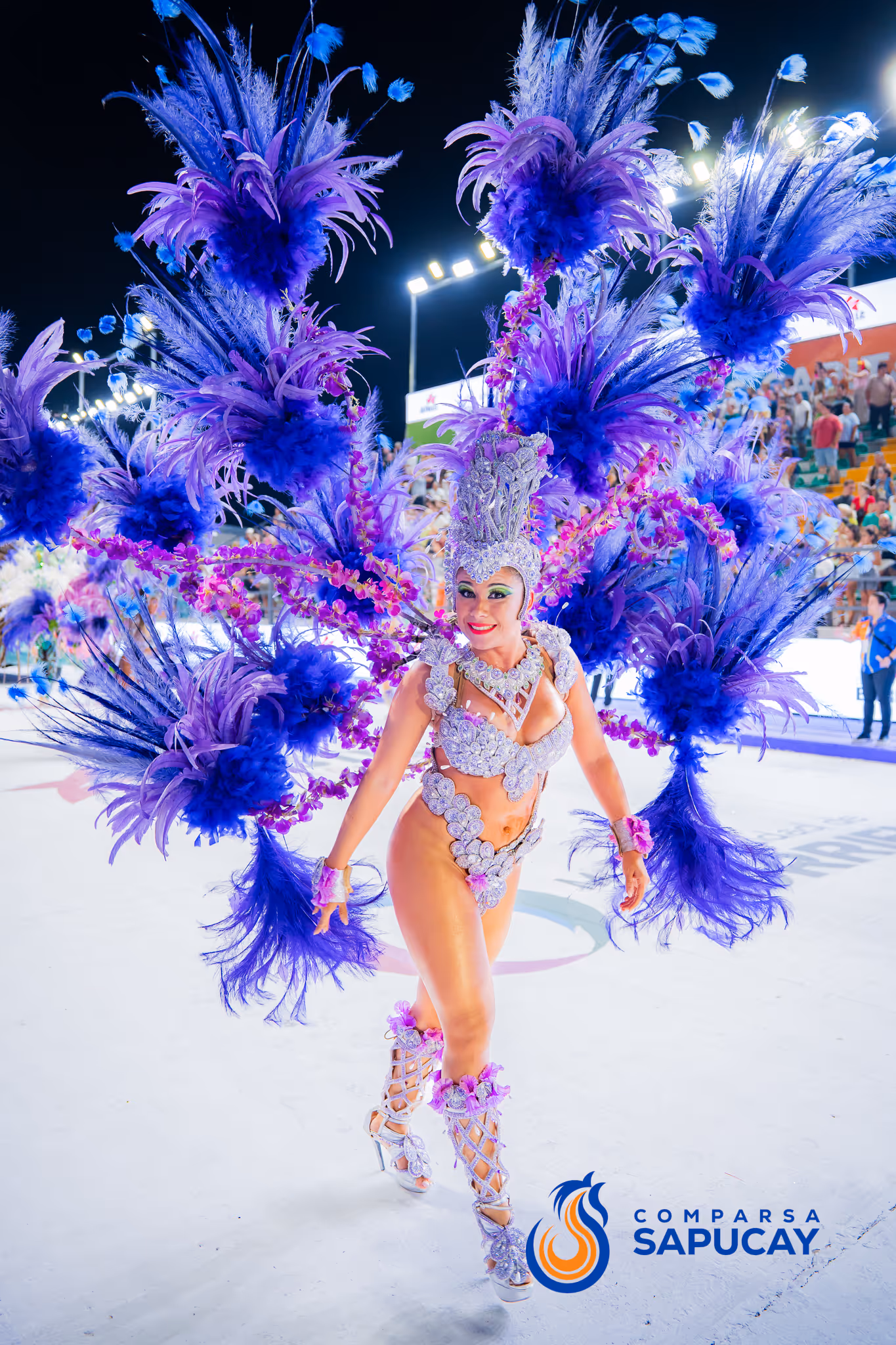 Galería de fotos del corso del Carnaval 2025