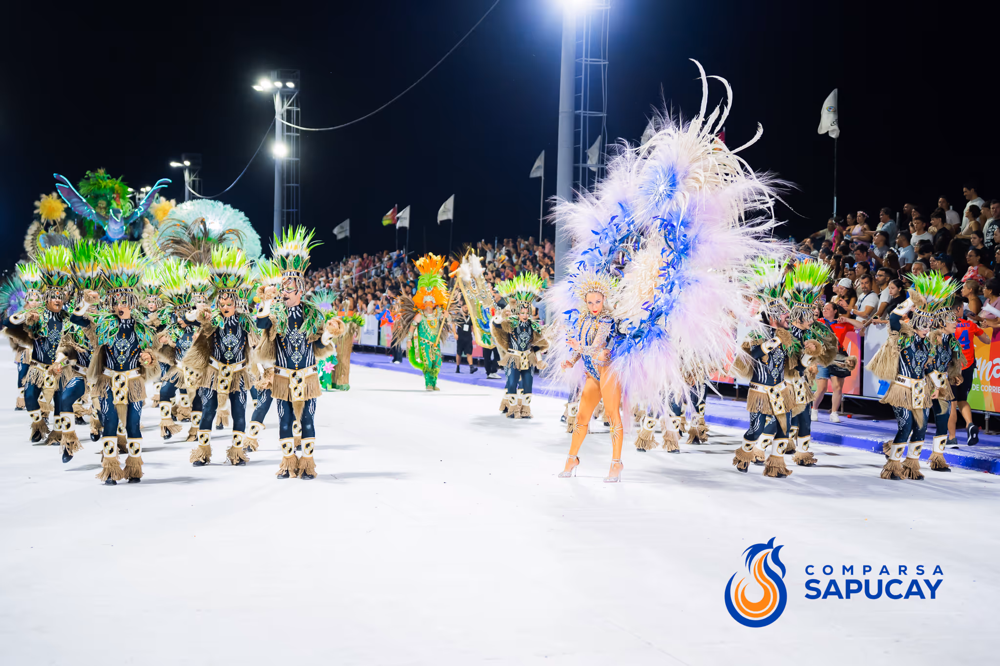 Galería de fotos del corso del Carnaval 2025