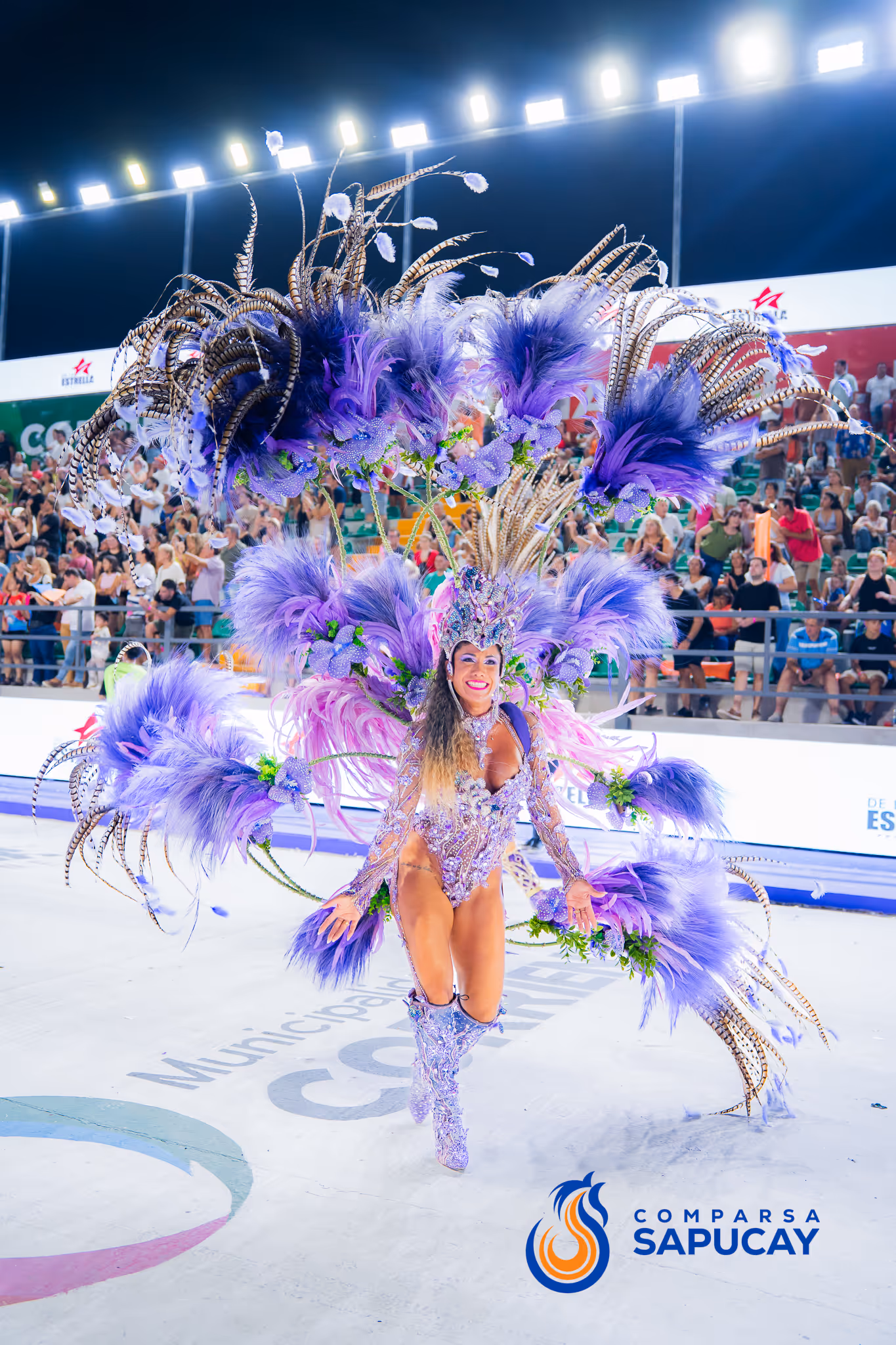 Galería de fotos del corso del Carnaval 2025