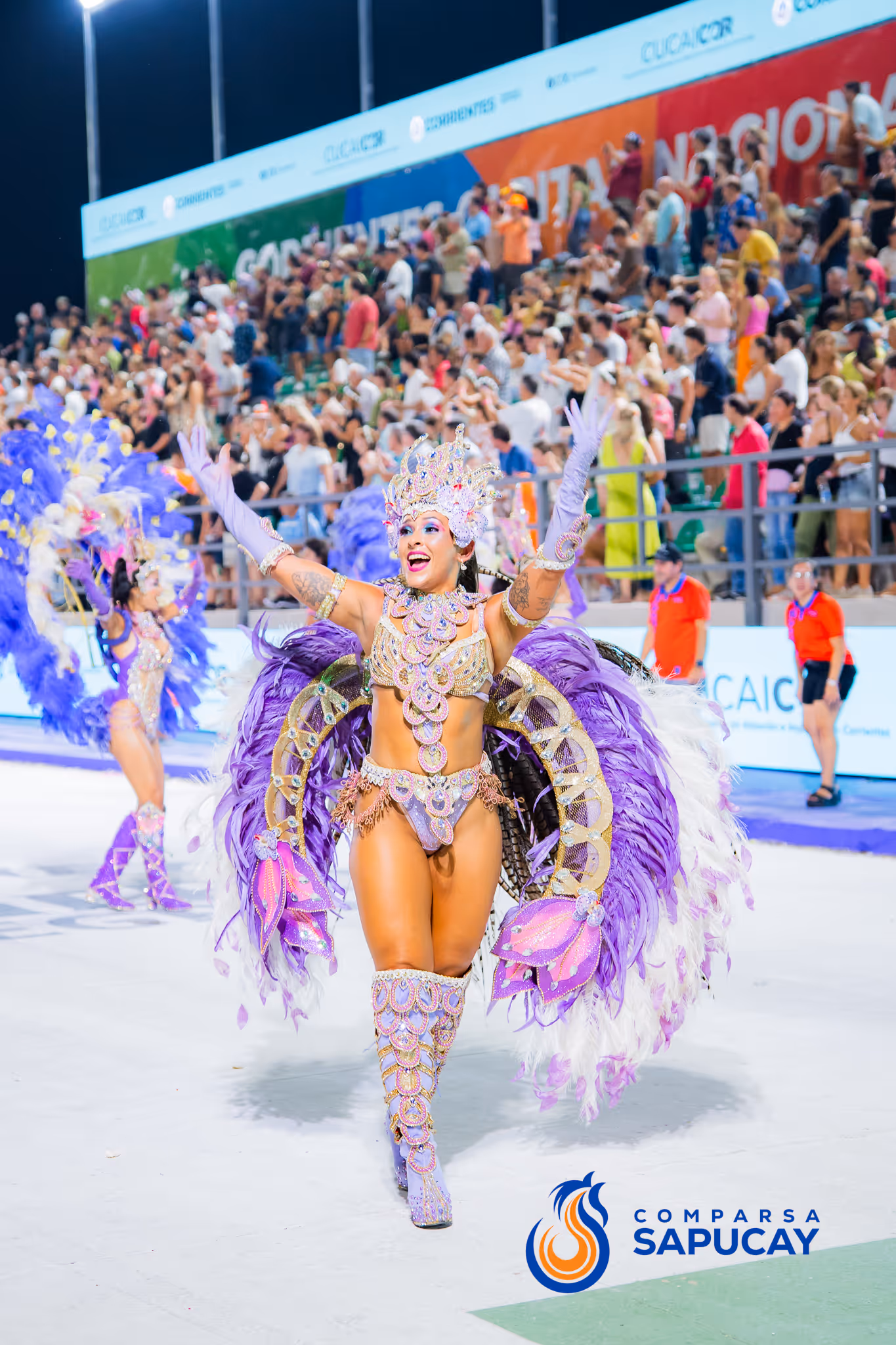 Galería de fotos del corso del Carnaval 2025