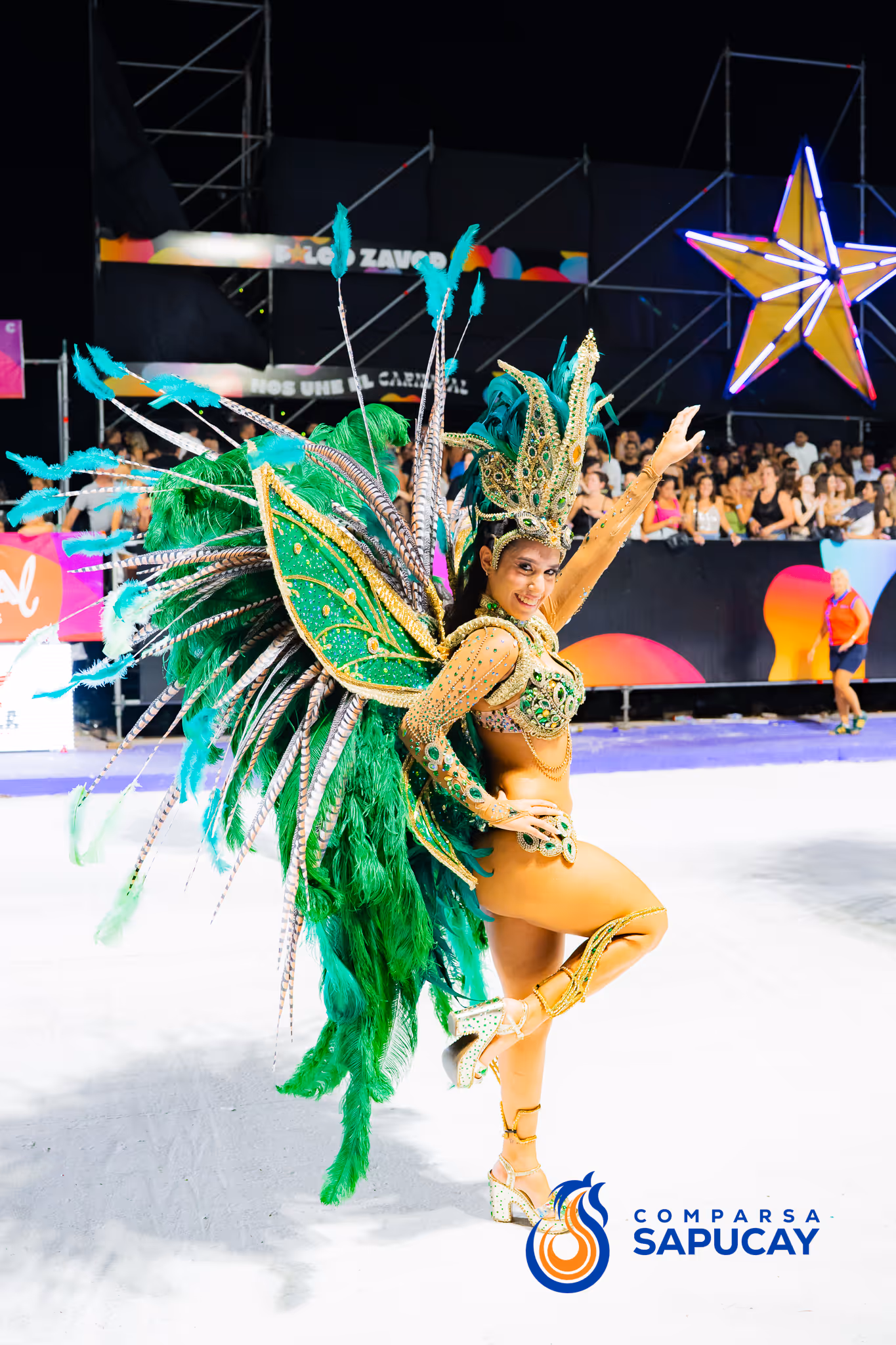 Galería de fotos del corso del Carnaval 2025