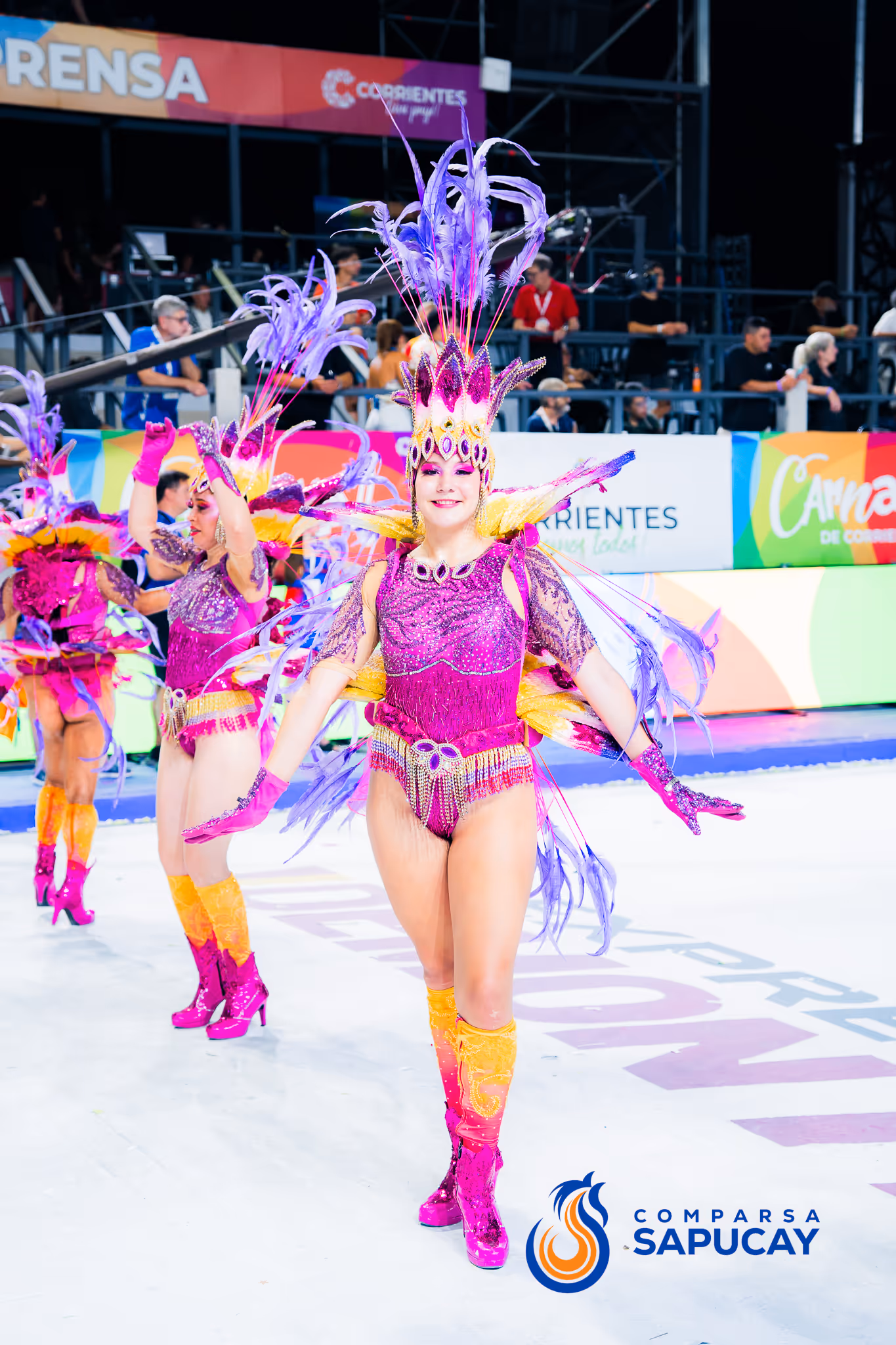 Galería de fotos del corso del Carnaval 2025