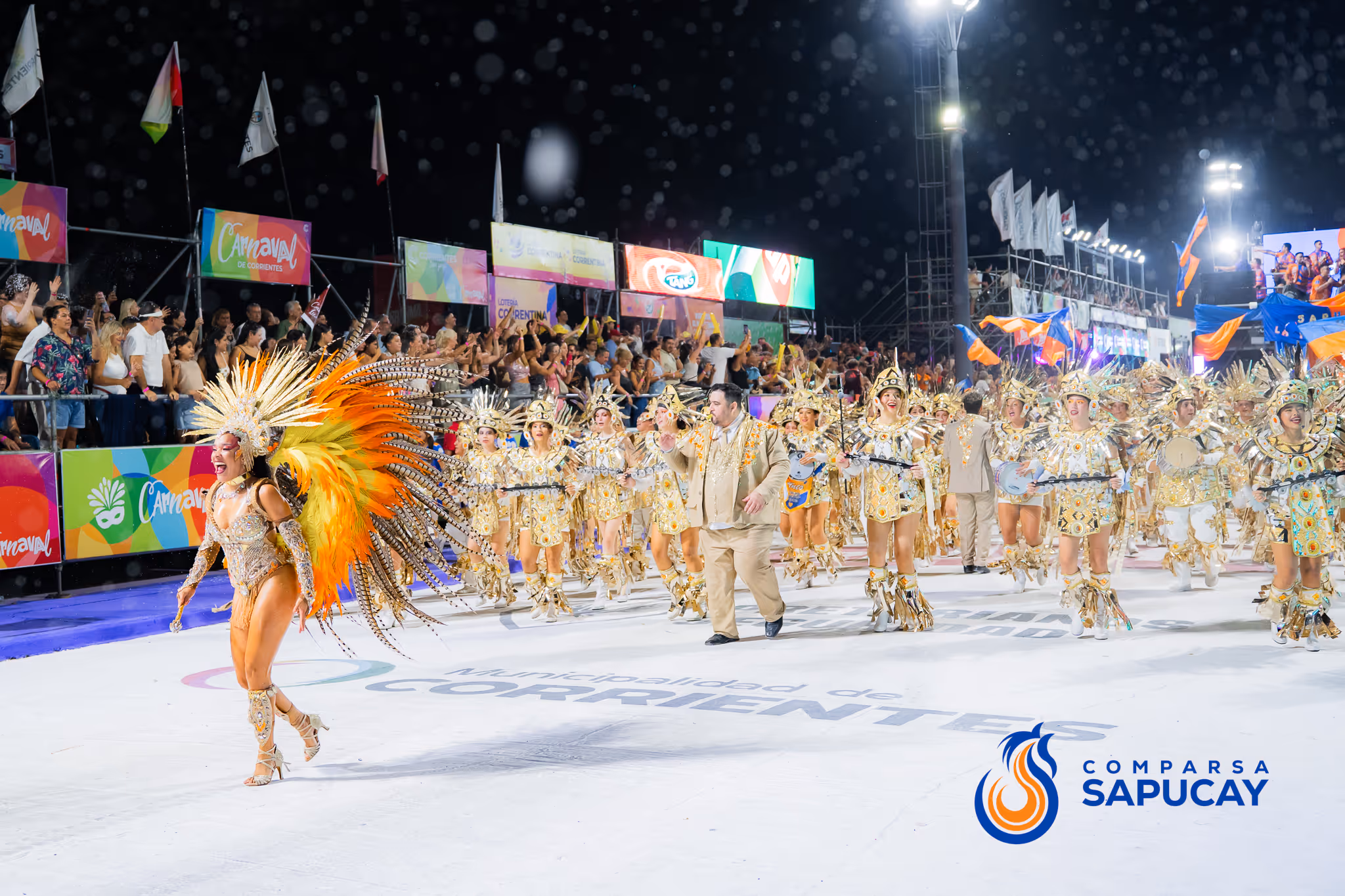 Galería de fotos del corso del Carnaval 2025