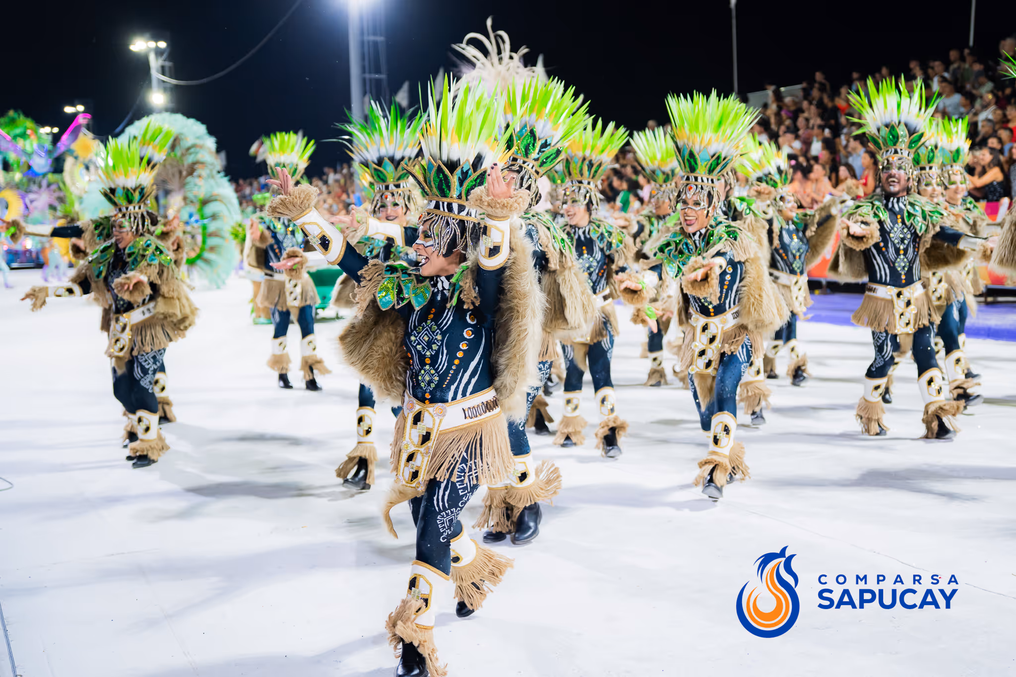 Galería de fotos del corso del Carnaval 2025