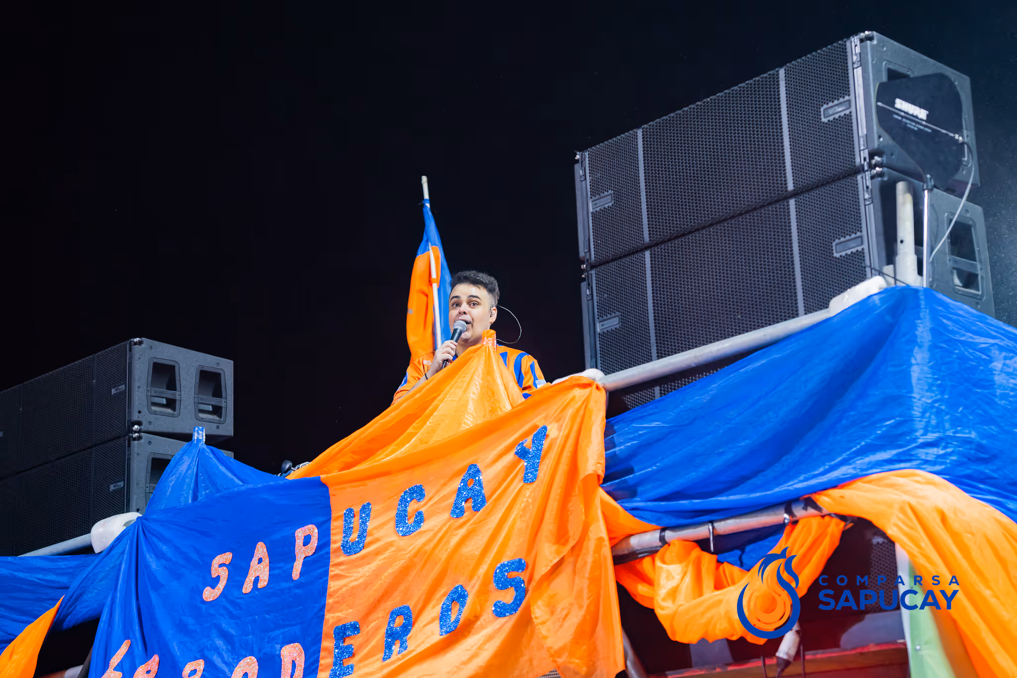 Galería de fotos del corso del Carnaval 2025