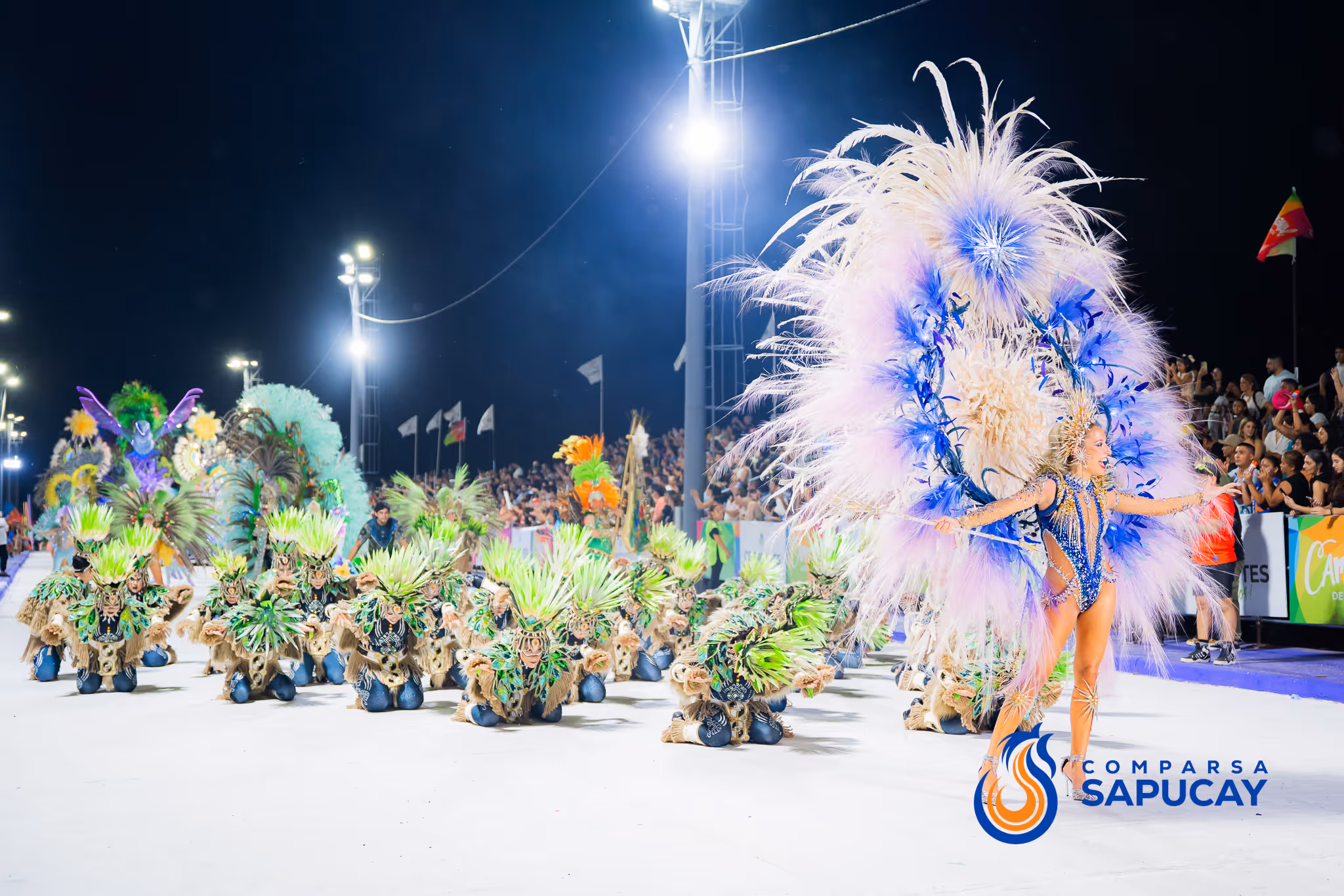 Galería de fotos del corso del Carnaval 2025