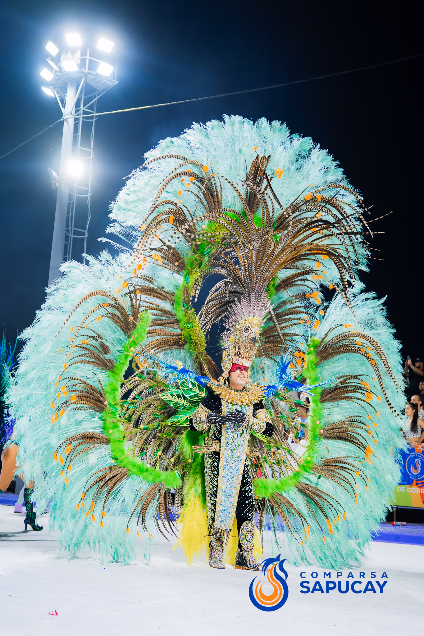 Galería de fotos del corso del Carnaval 2025