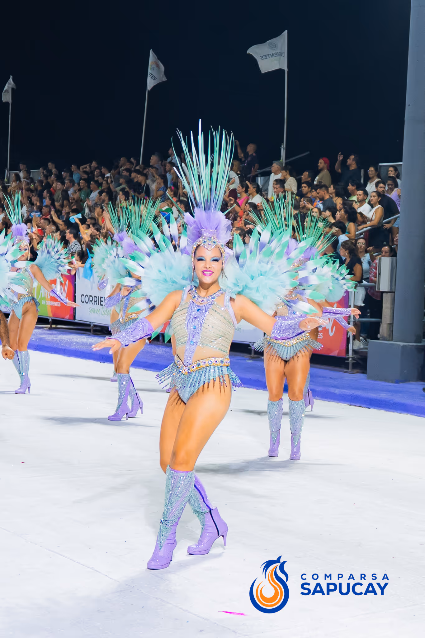 Galería de fotos del corso del Carnaval 2025