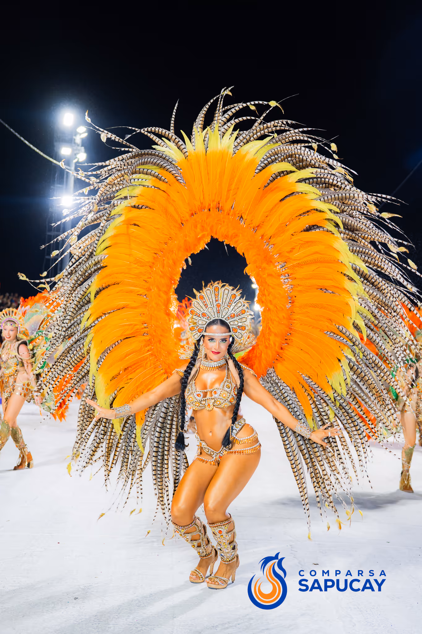 Galería de fotos del corso del Carnaval 2025