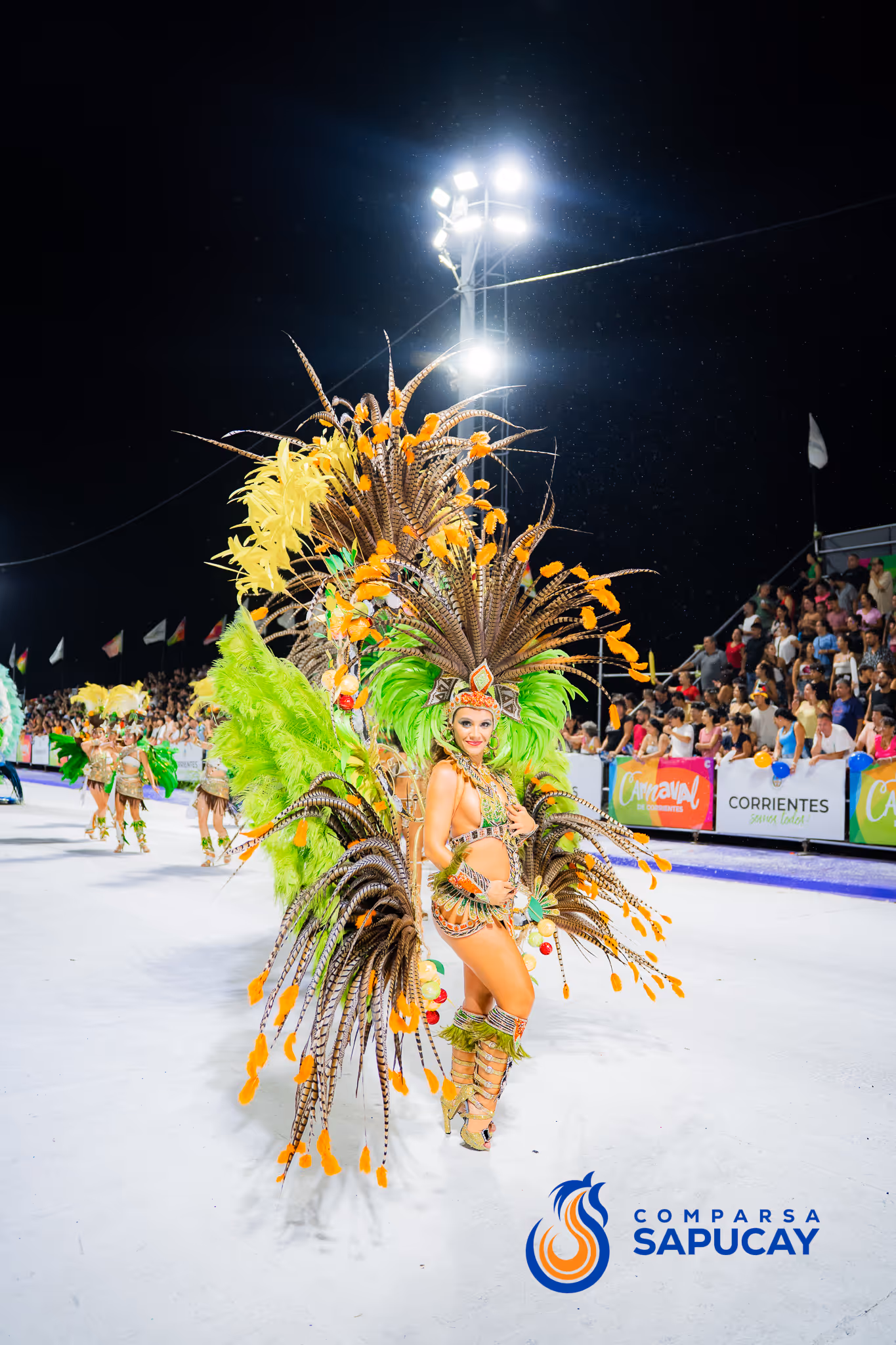 Galería de fotos del corso del Carnaval 2025