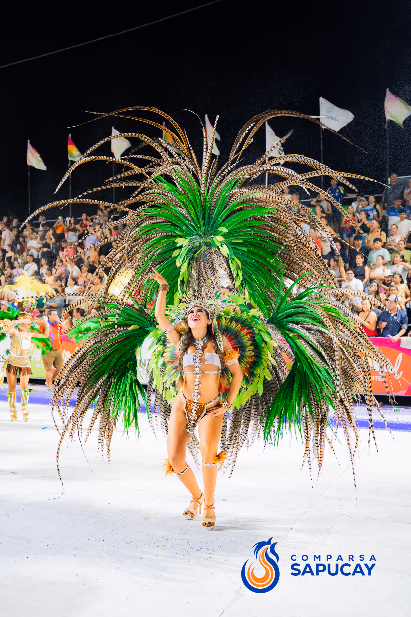 Galería de fotos del corso del Carnaval 2025