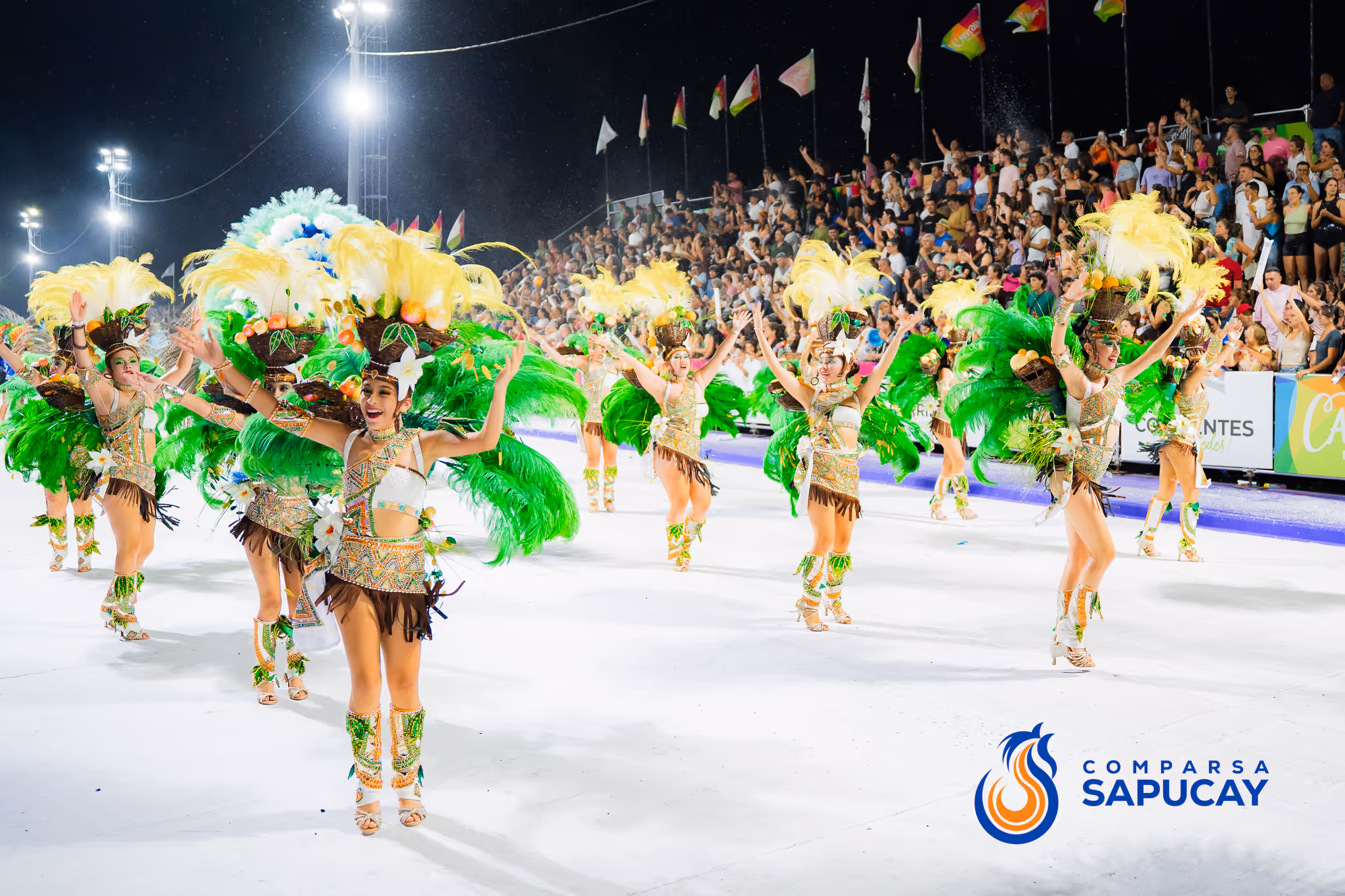 Galería de fotos del corso del Carnaval 2025