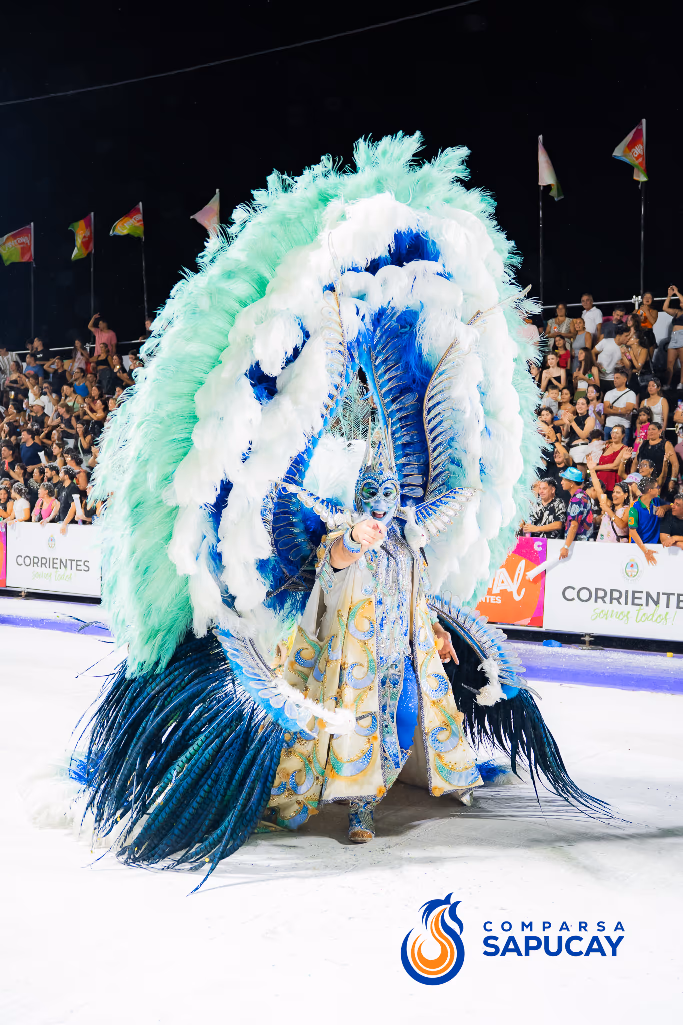 Galería de fotos del corso del Carnaval 2025