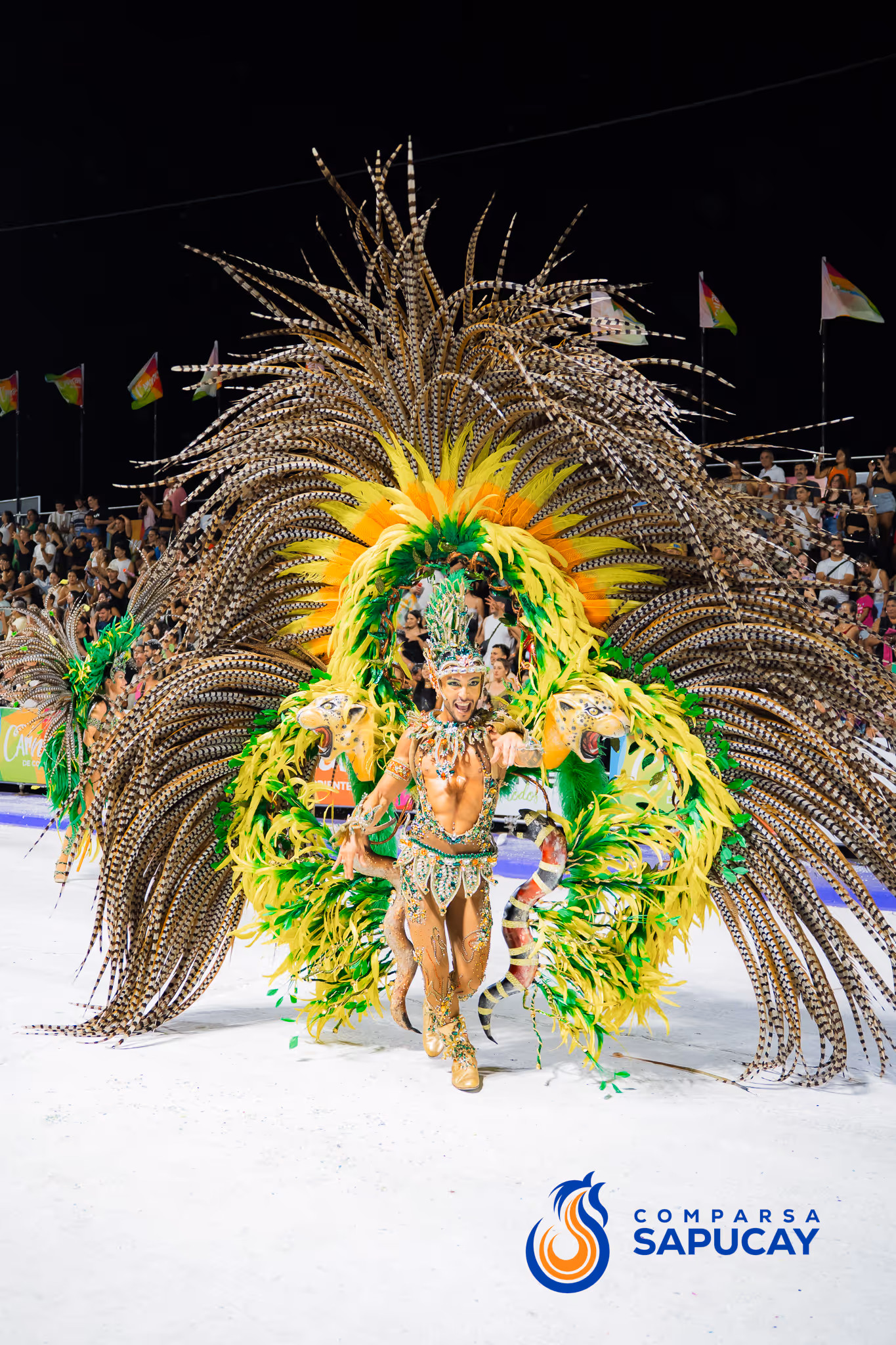 Galería de fotos del corso del Carnaval 2025