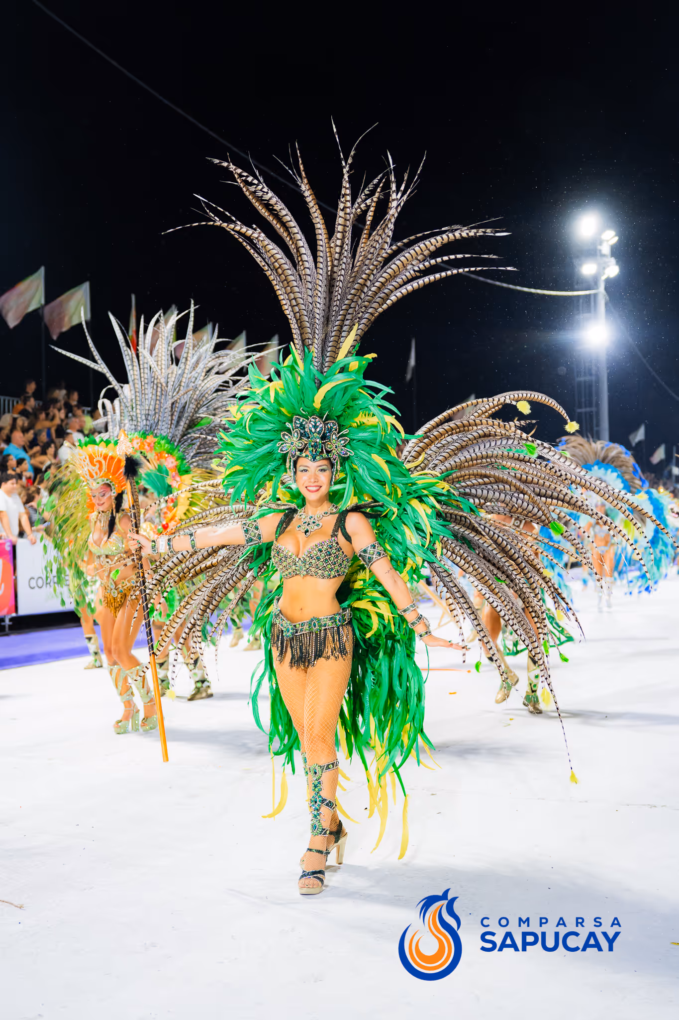 Galería de fotos del corso del Carnaval 2025