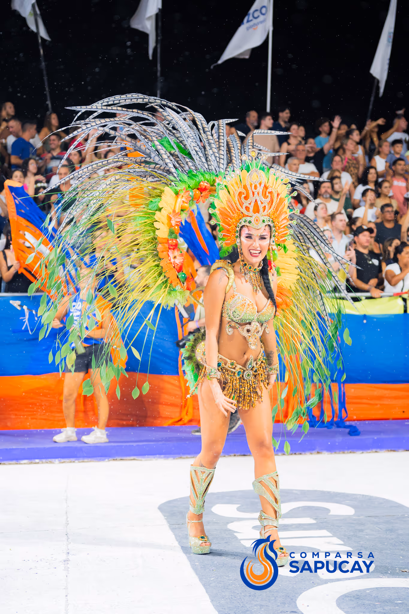 Galería de fotos del corso del Carnaval 2025