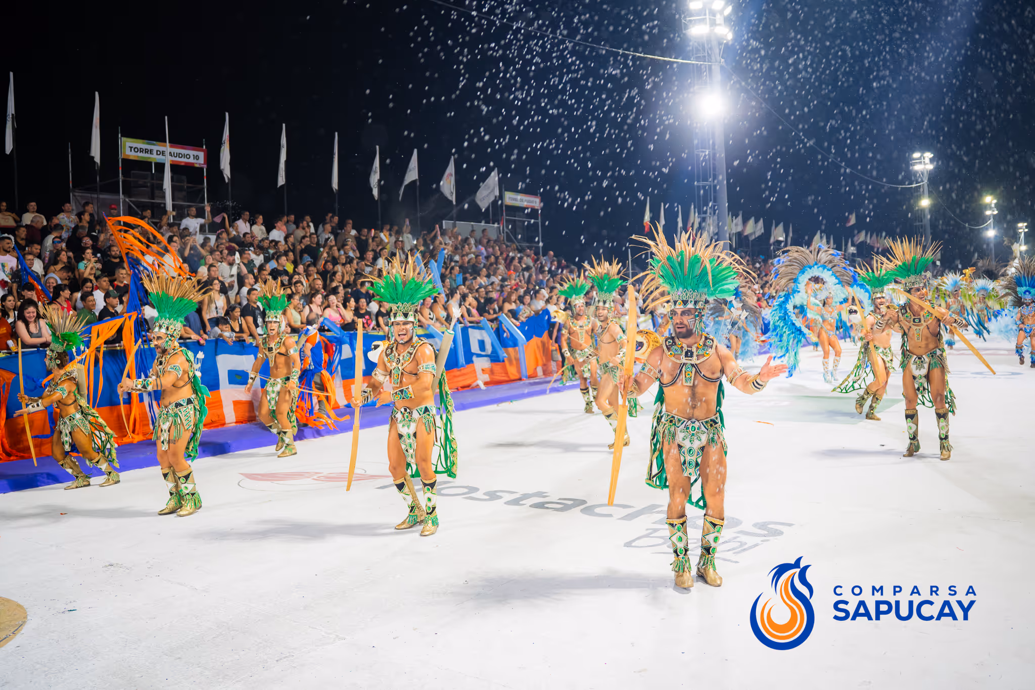 Galería de fotos del corso del Carnaval 2025