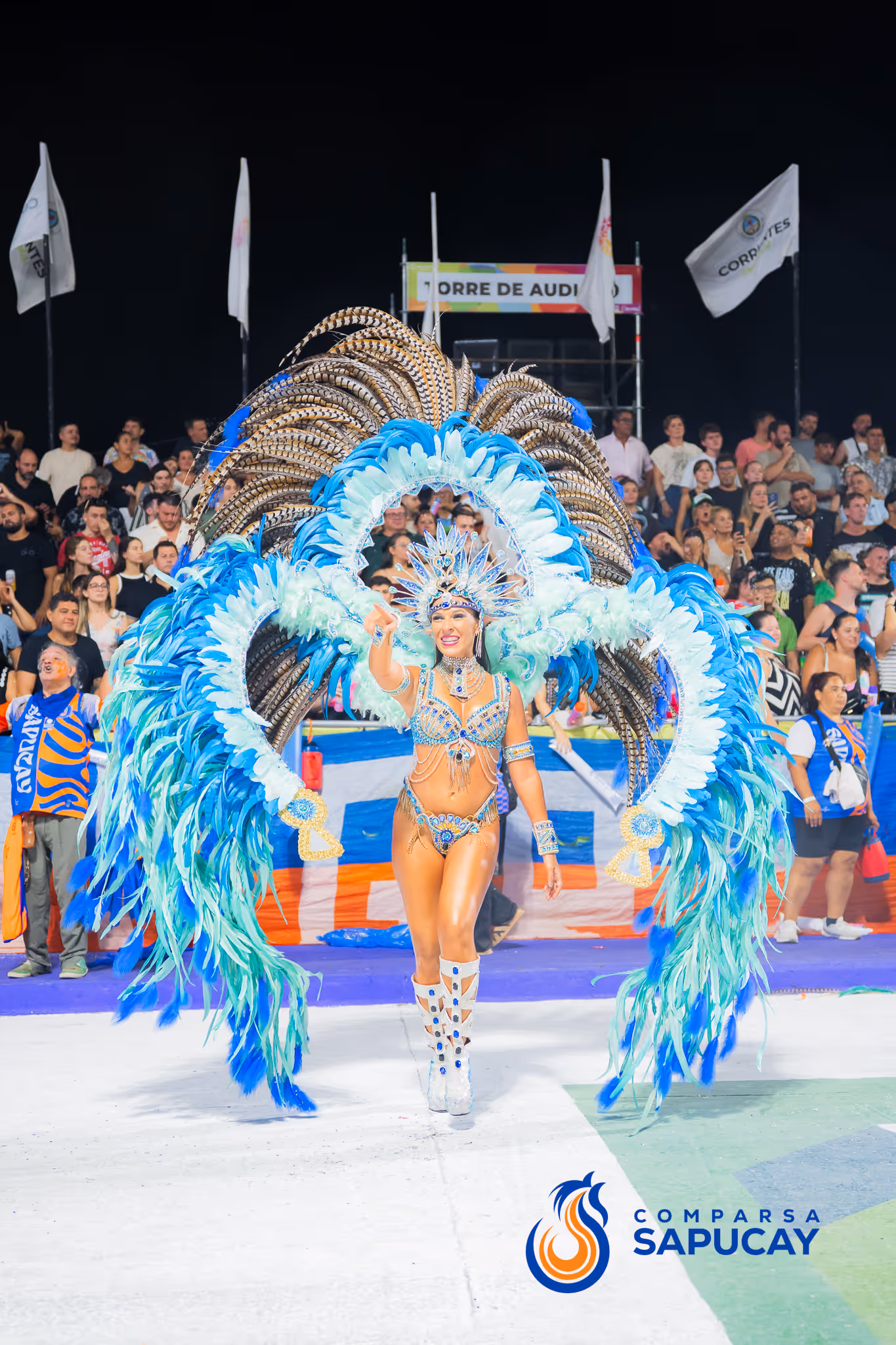 Galería de fotos del corso del Carnaval 2025