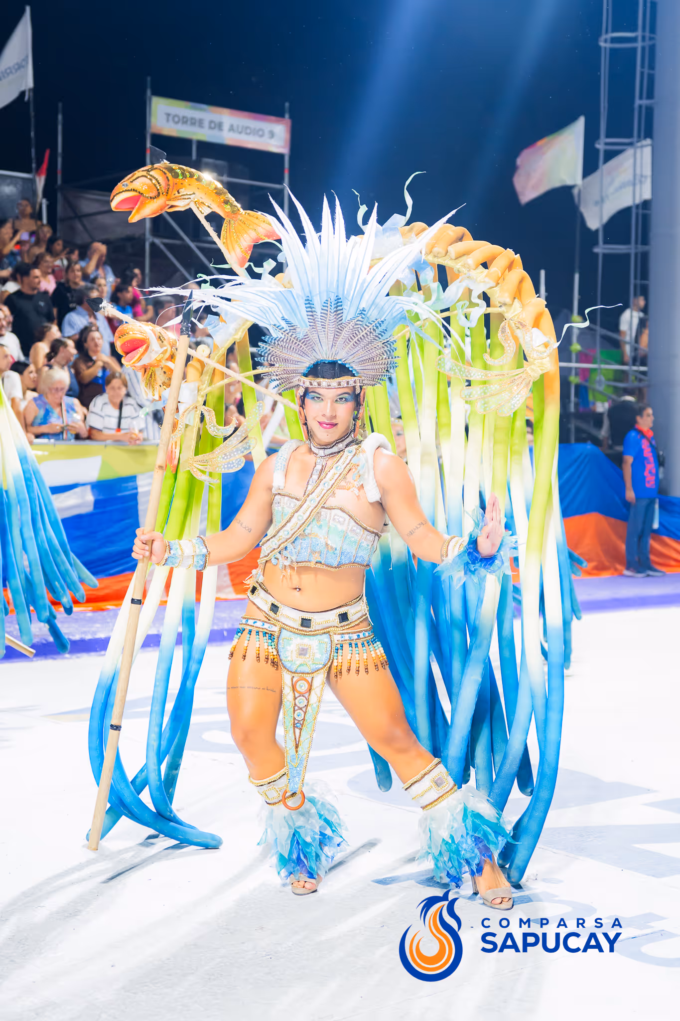 Galería de fotos del corso del Carnaval 2025