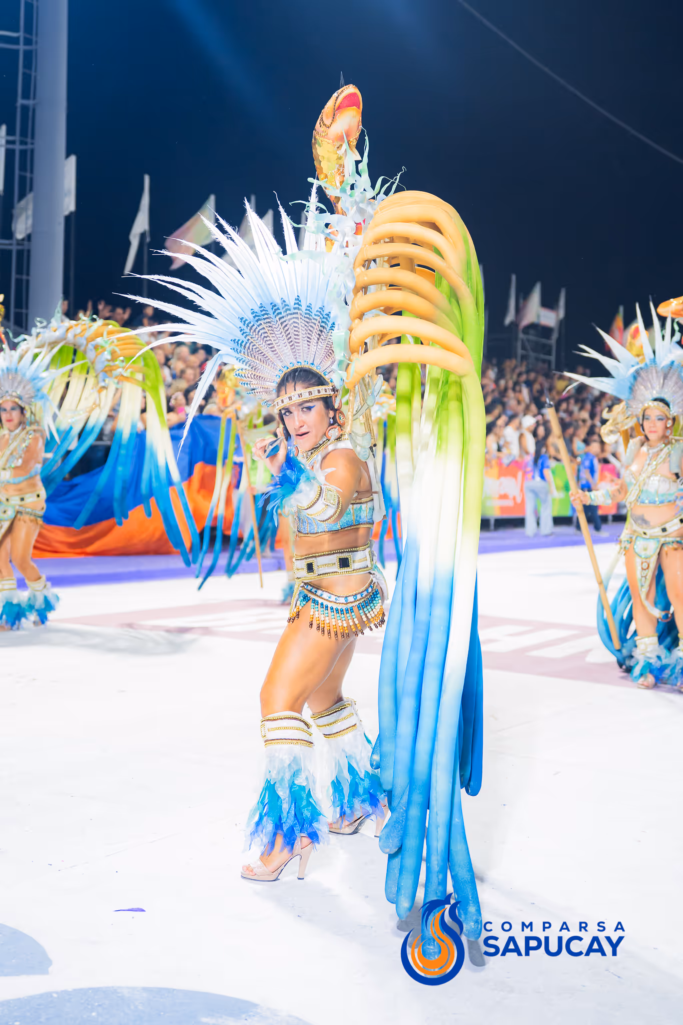 Galería de fotos del corso del Carnaval 2025