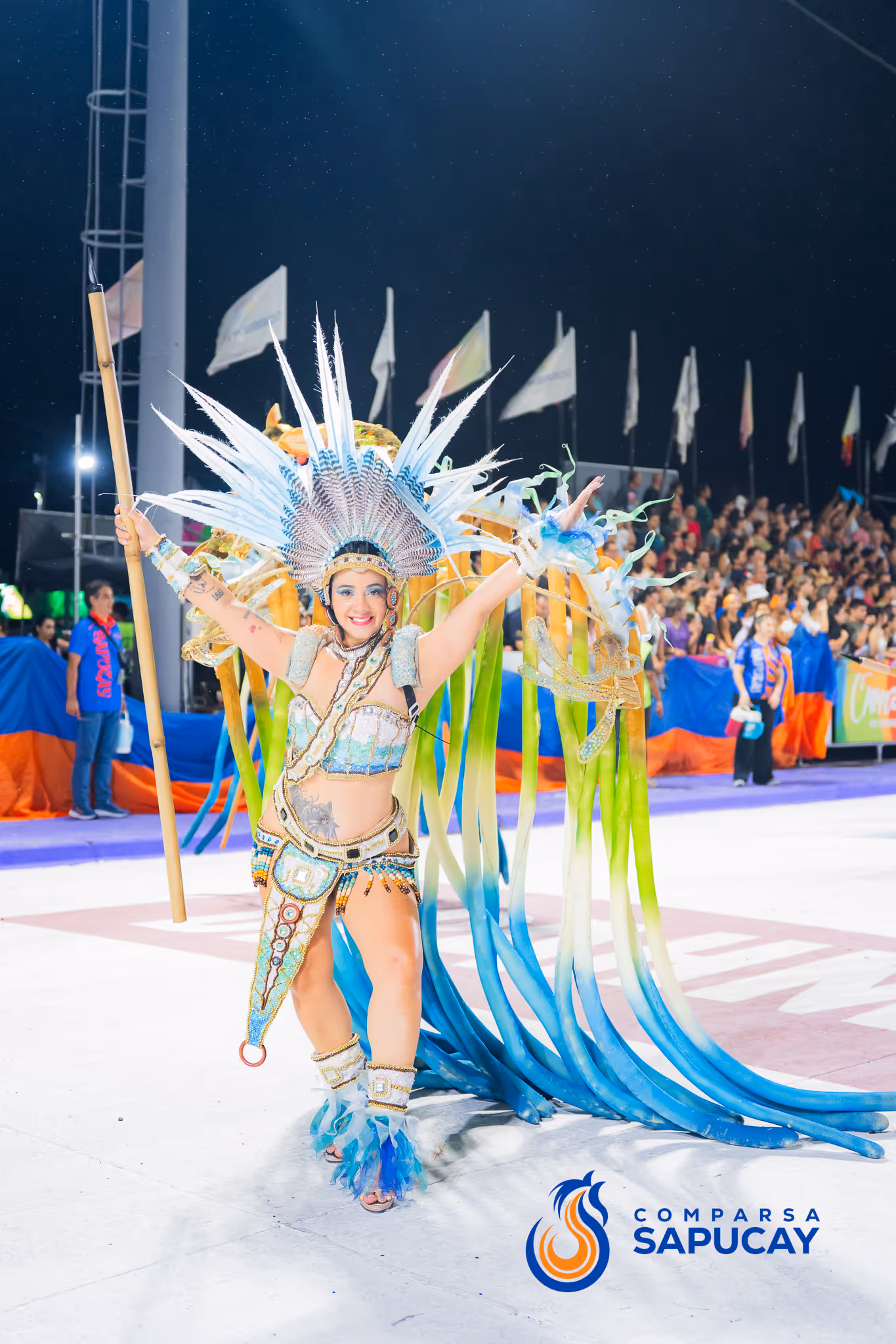 Galería de fotos del corso del Carnaval 2025