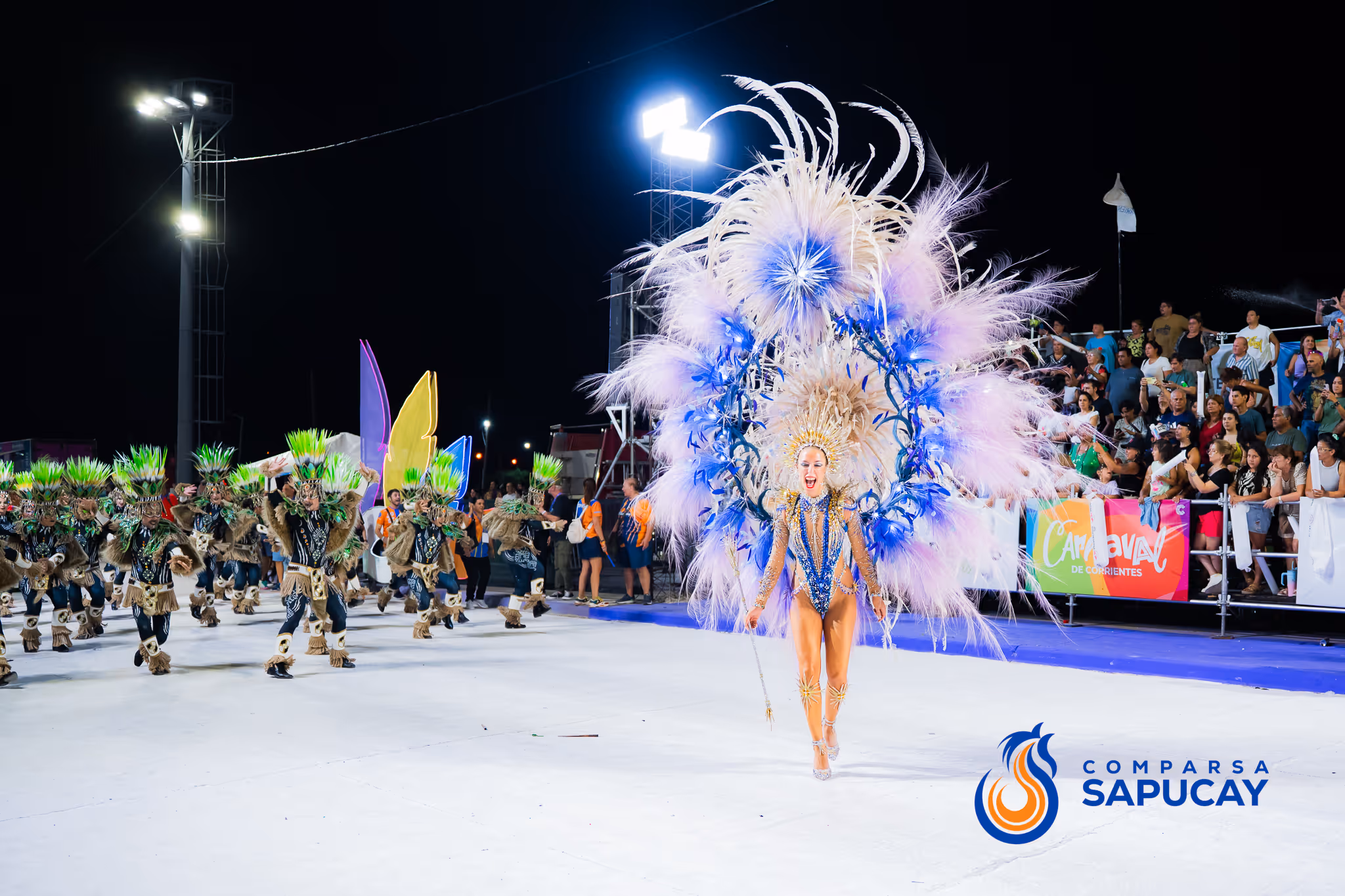 Galería de fotos del corso del Carnaval 2025