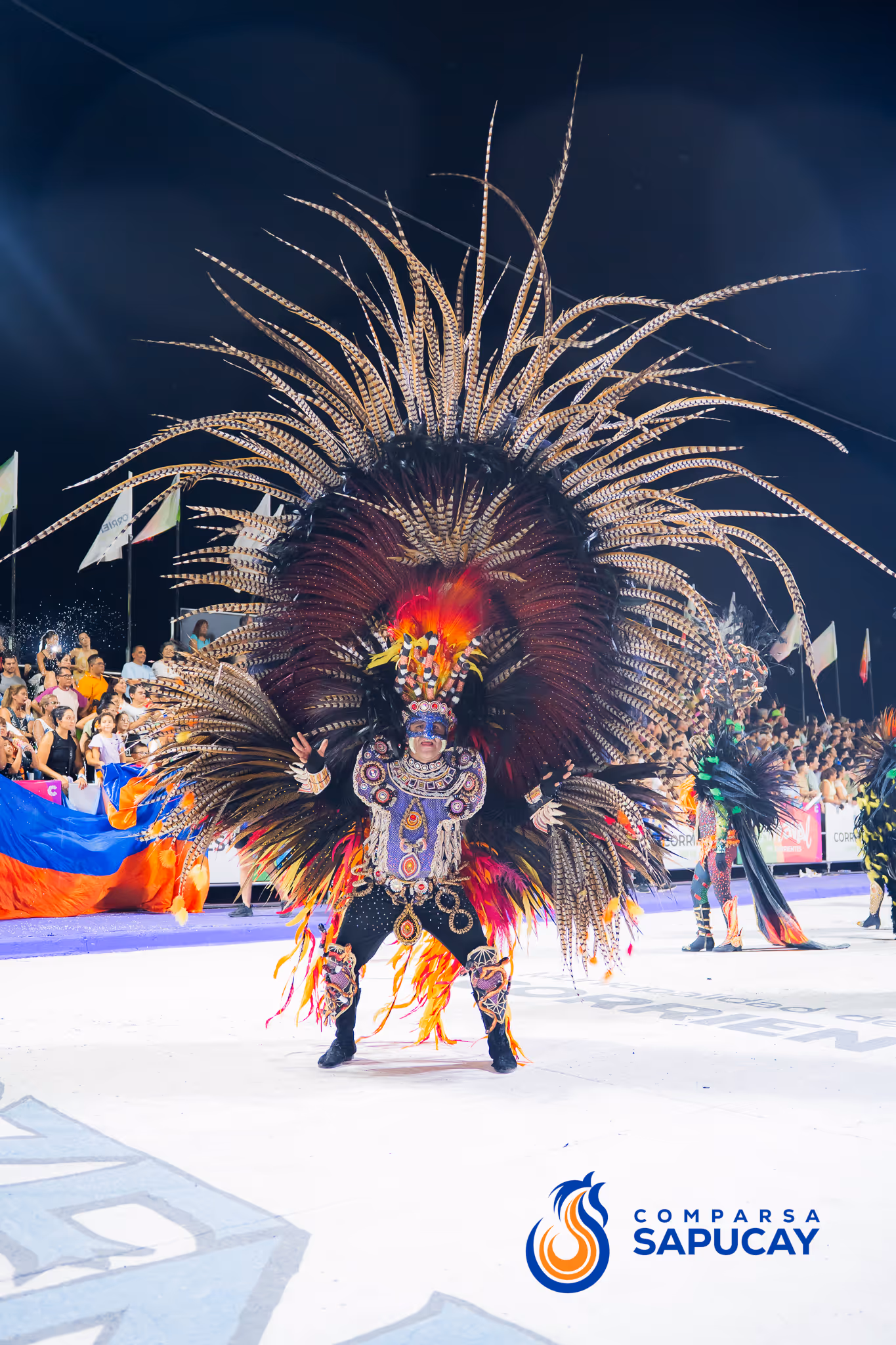 Galería de fotos del corso del Carnaval 2025
