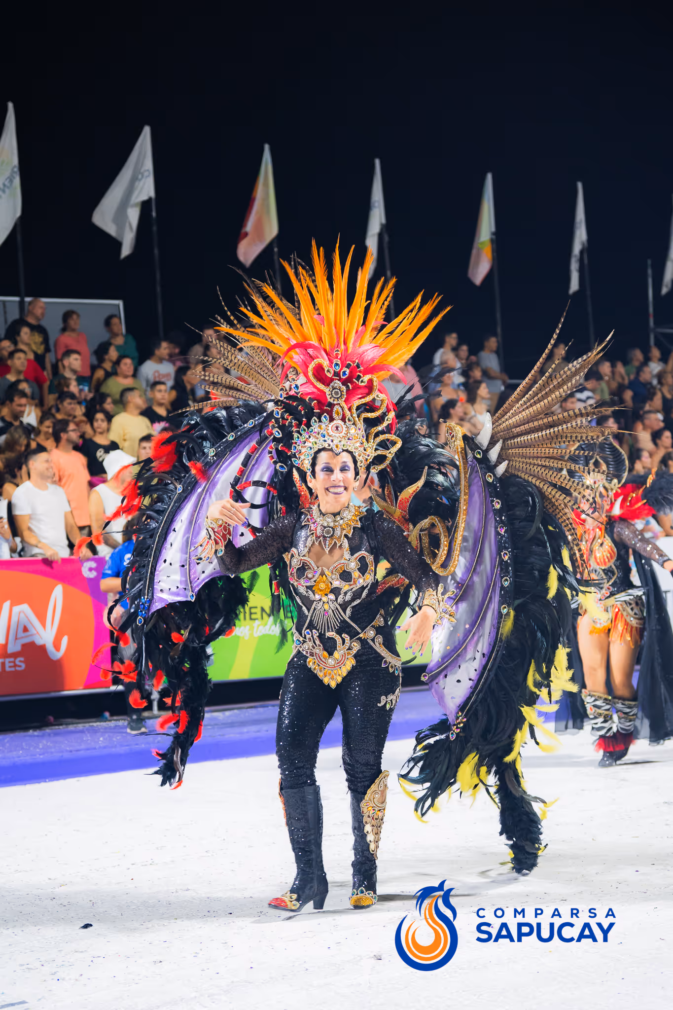 Galería de fotos del corso del Carnaval 2025