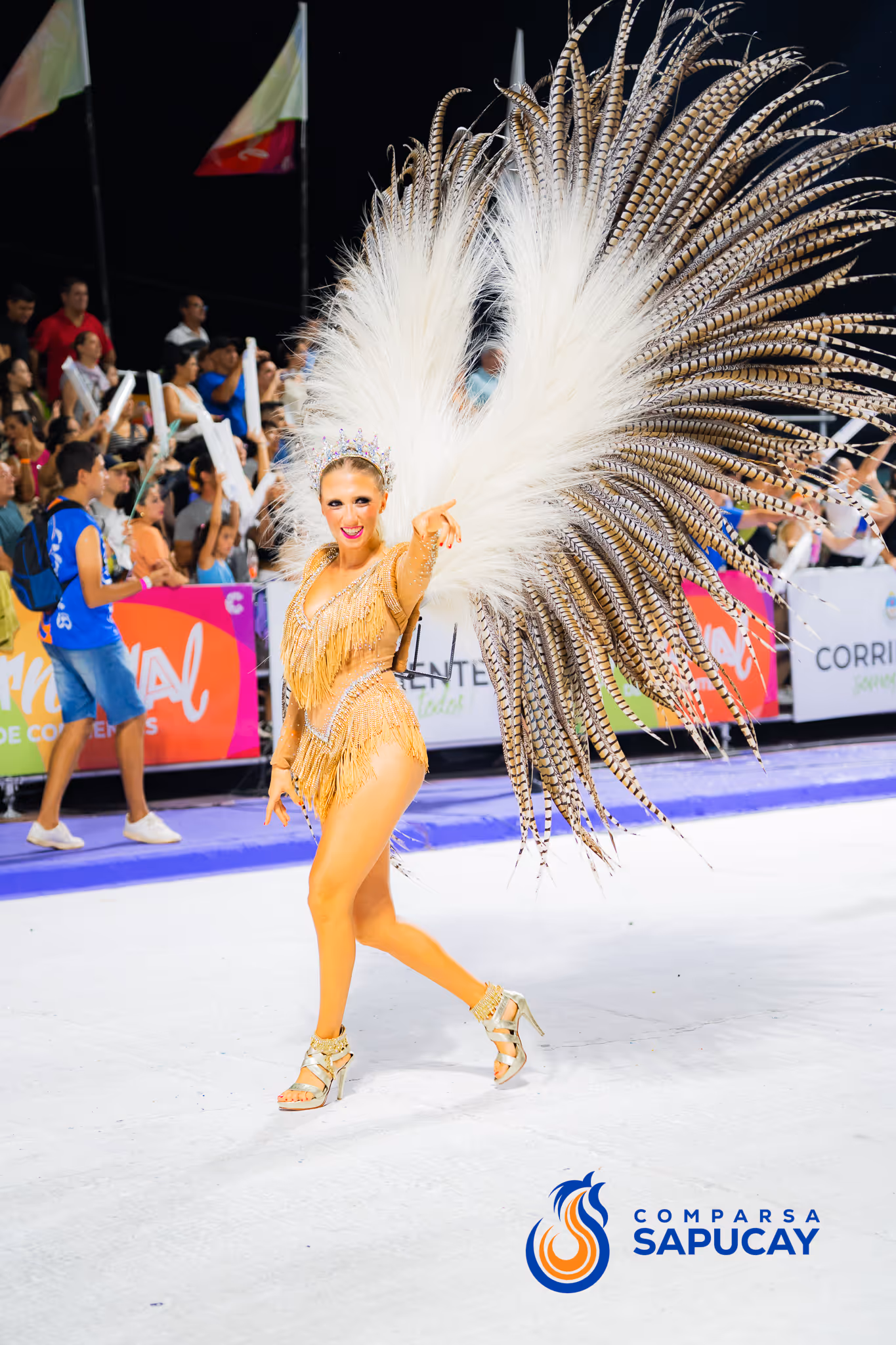 Galería de fotos del corso del Carnaval 2025