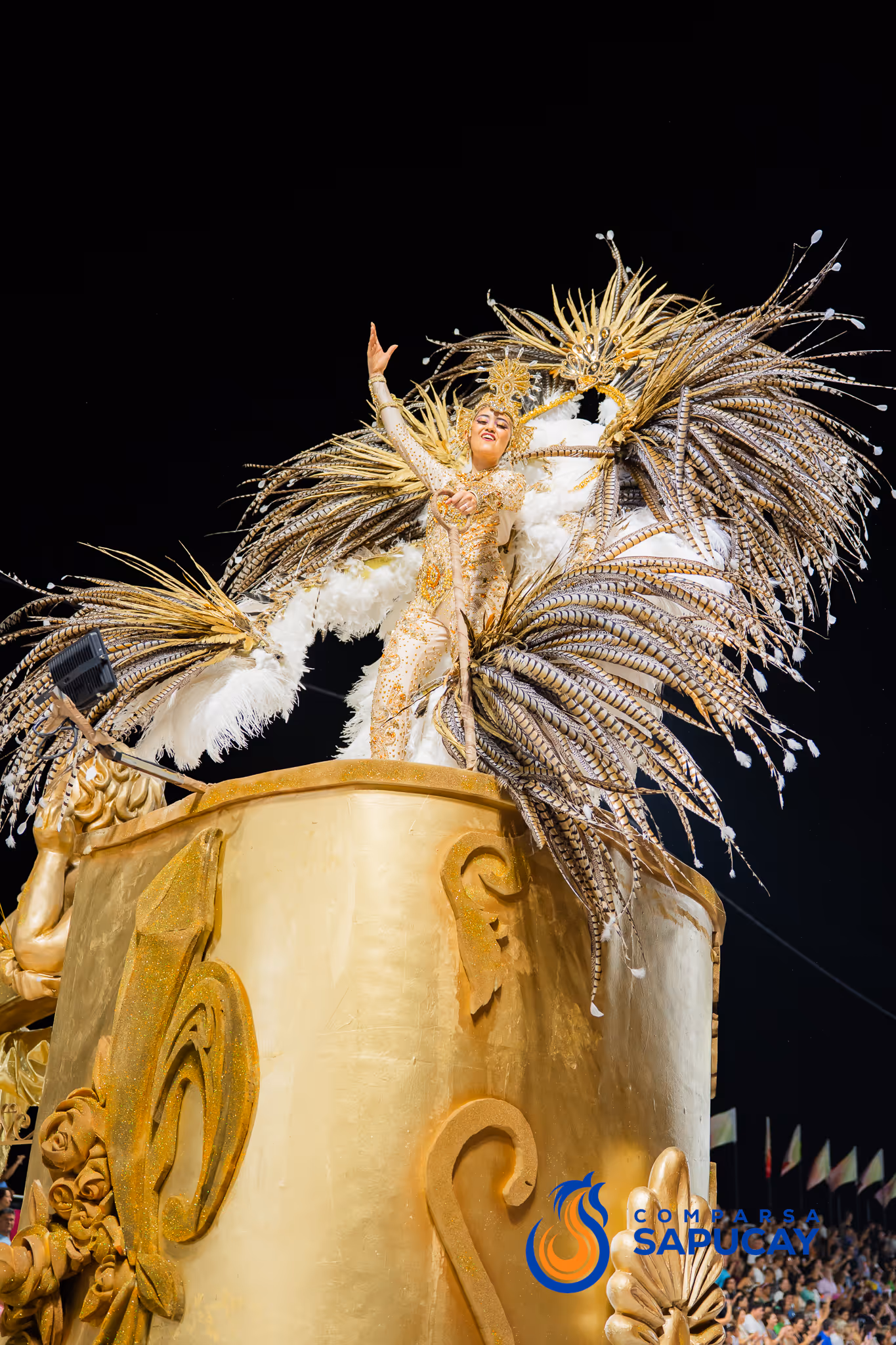 Galería de fotos del corso del Carnaval 2025