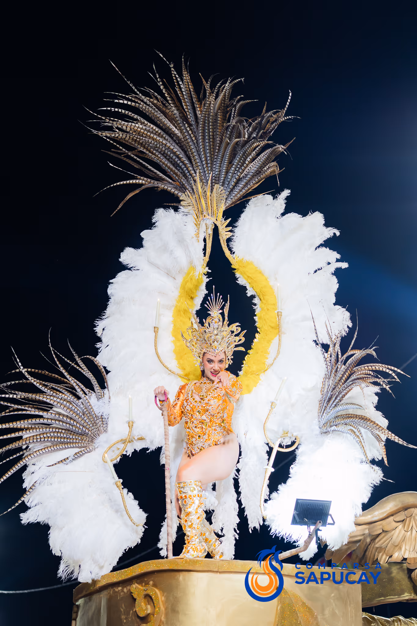 Galería de fotos del corso del Carnaval 2025