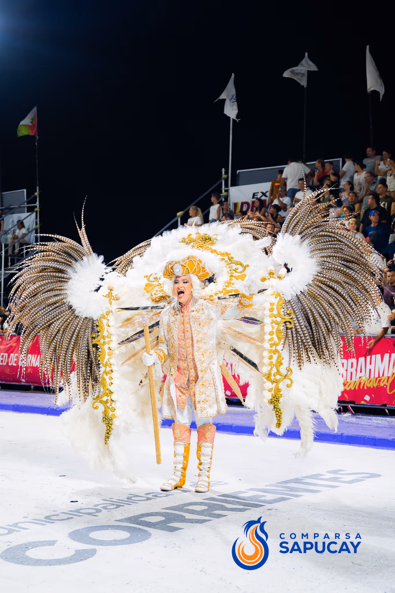 Galería de fotos del corso del Carnaval 2025