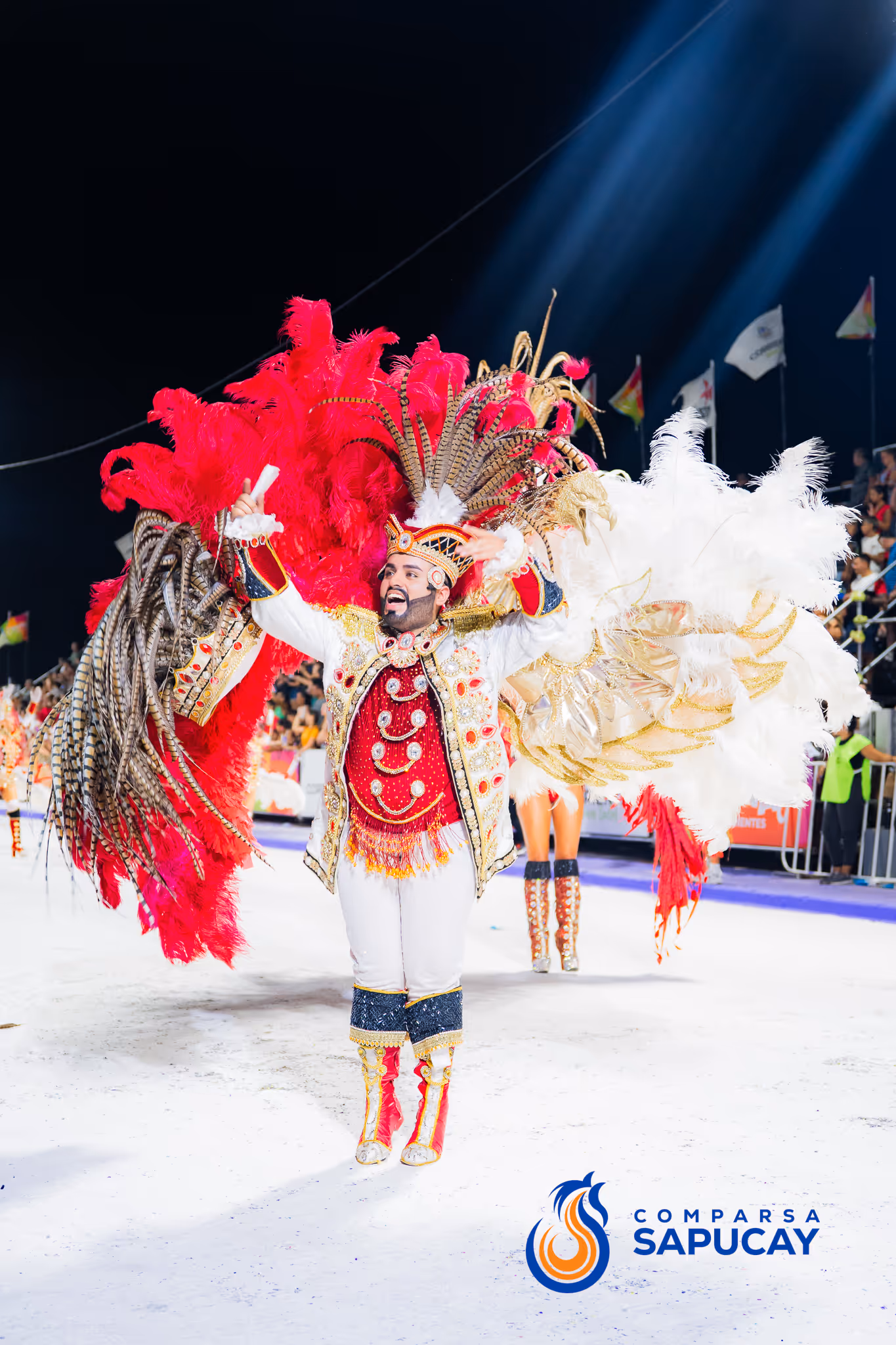 Galería de fotos del corso del Carnaval 2025