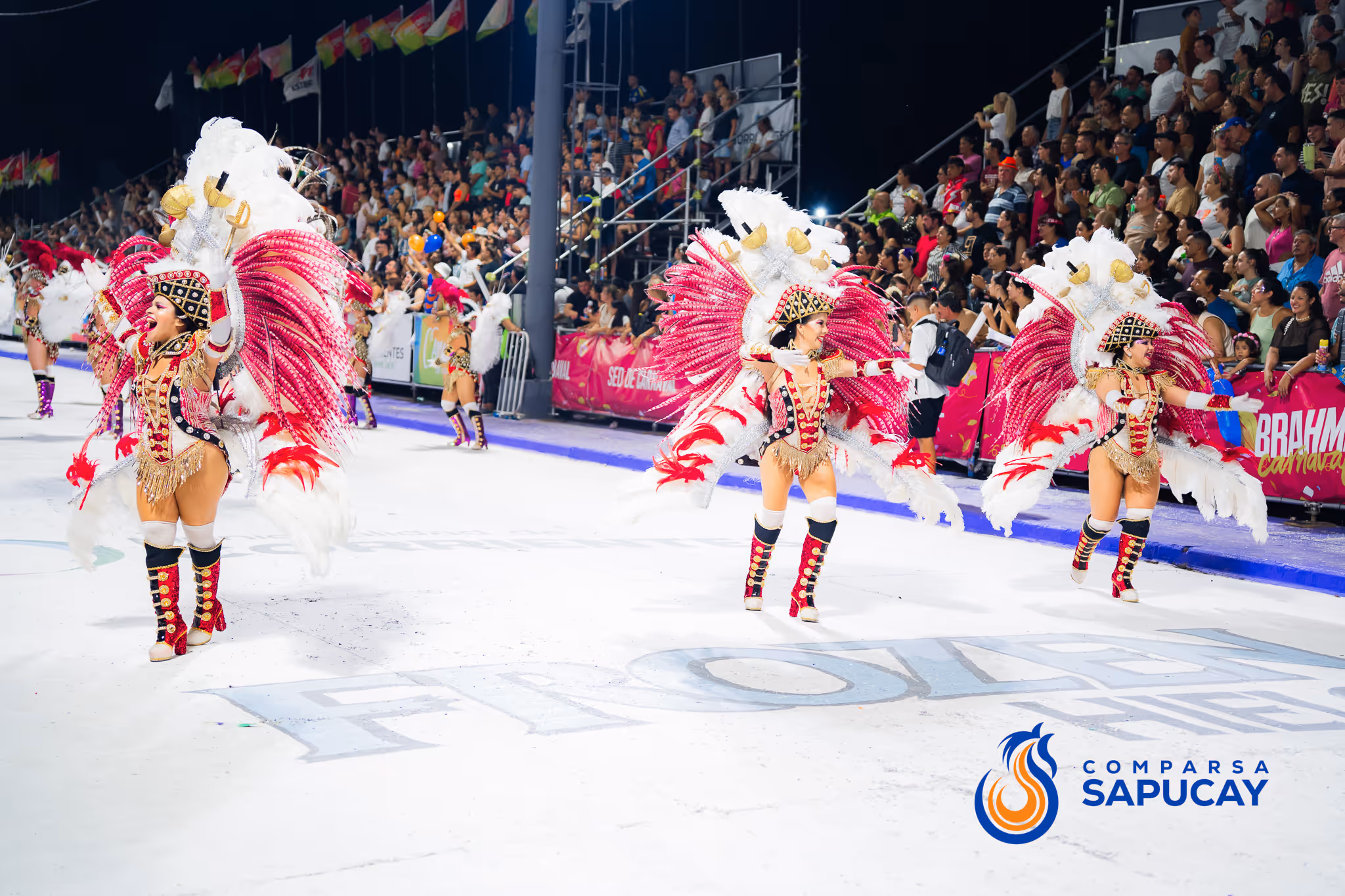 Galería de fotos del corso del Carnaval 2025