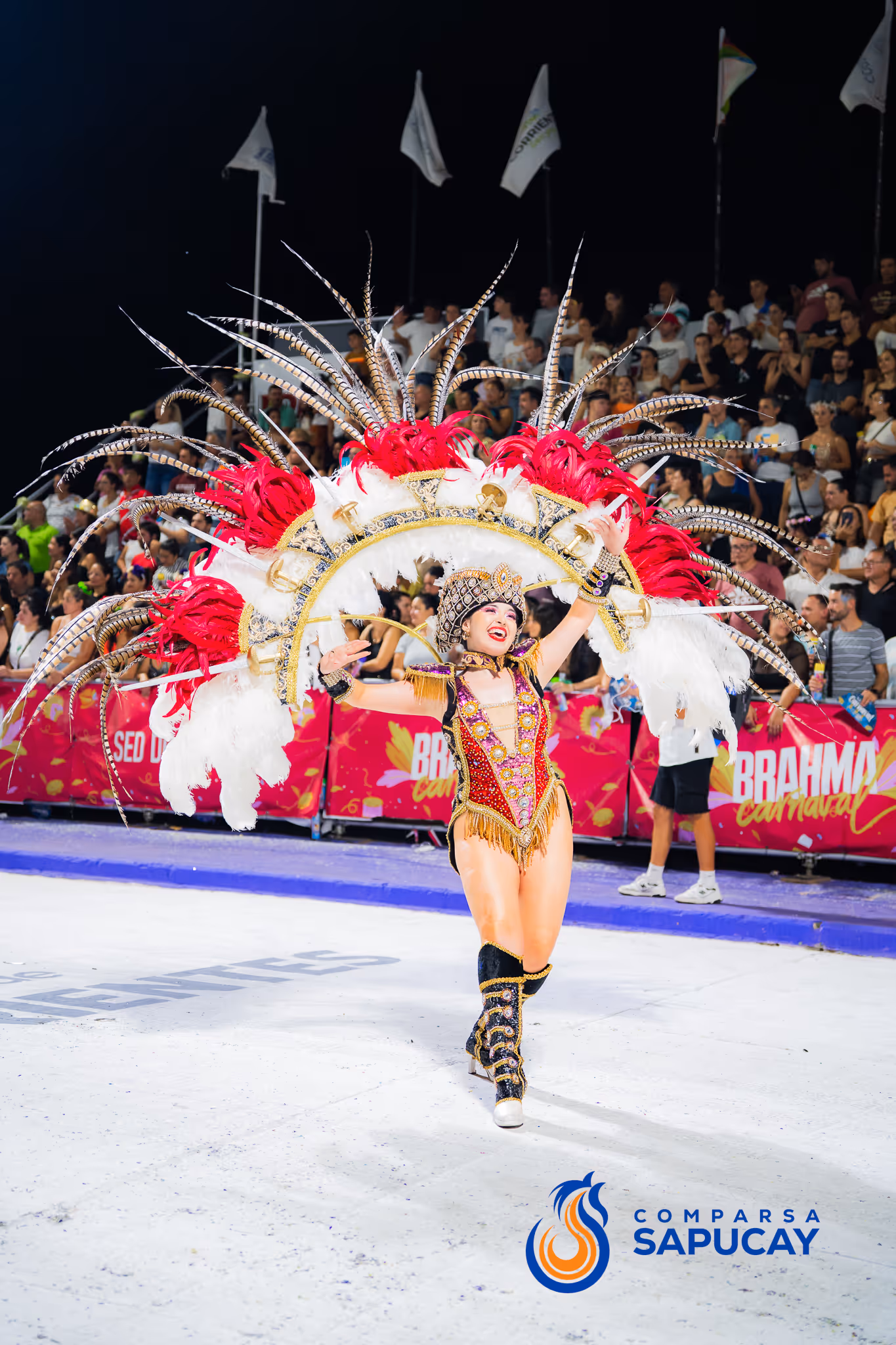 Galería de fotos del corso del Carnaval 2025