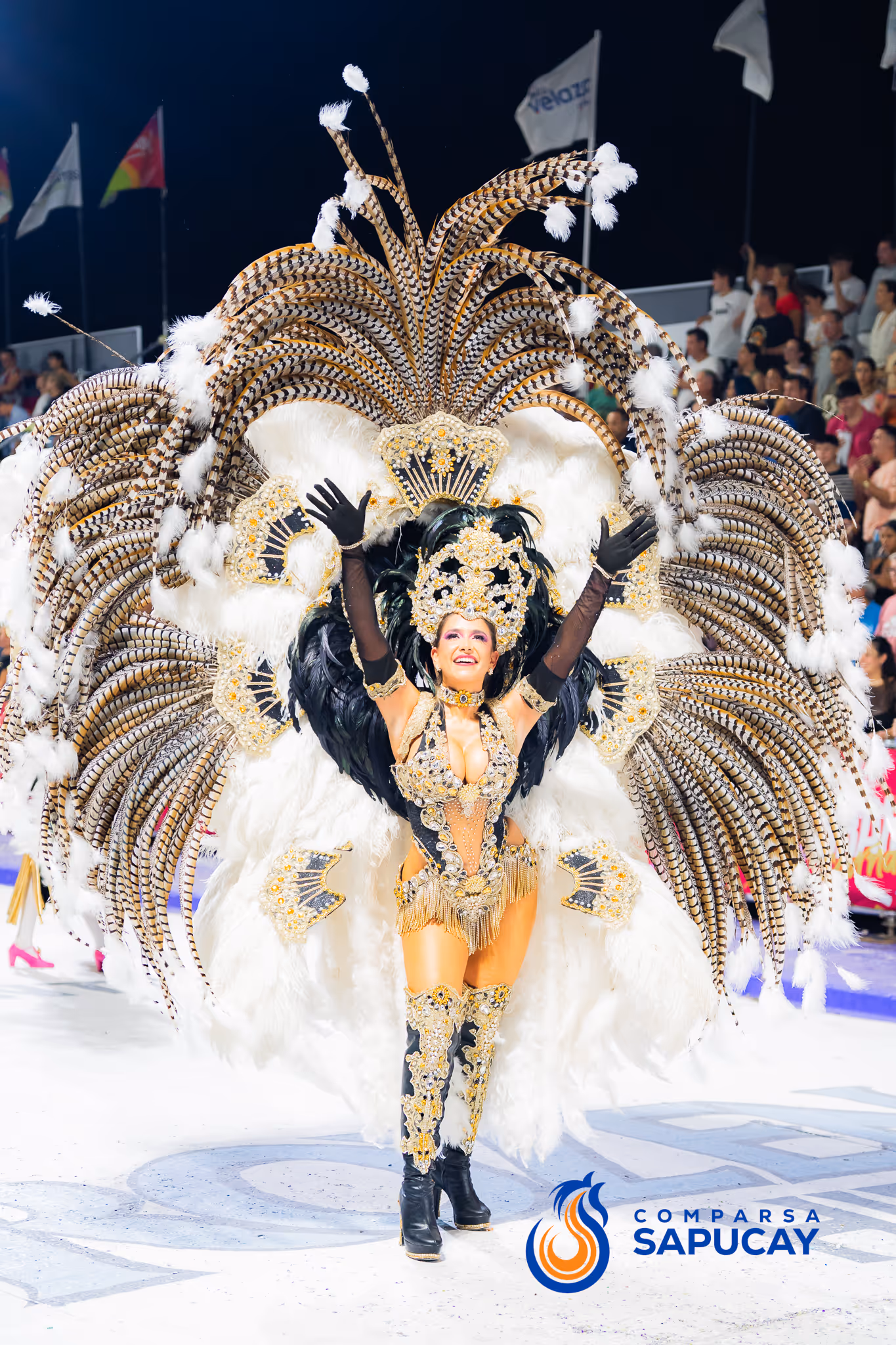 Galería de fotos del corso del Carnaval 2025