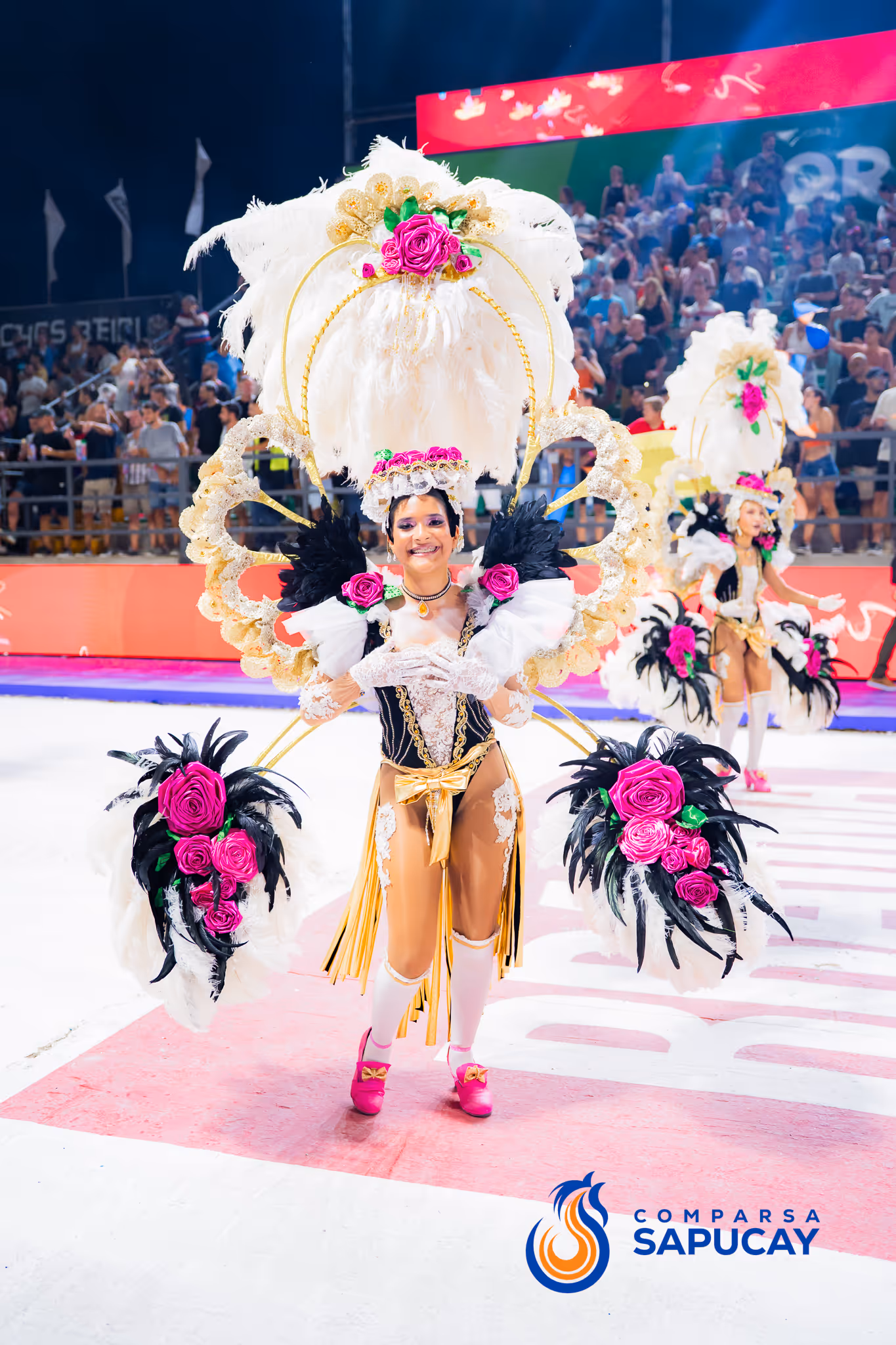 Galería de fotos del corso del Carnaval 2025