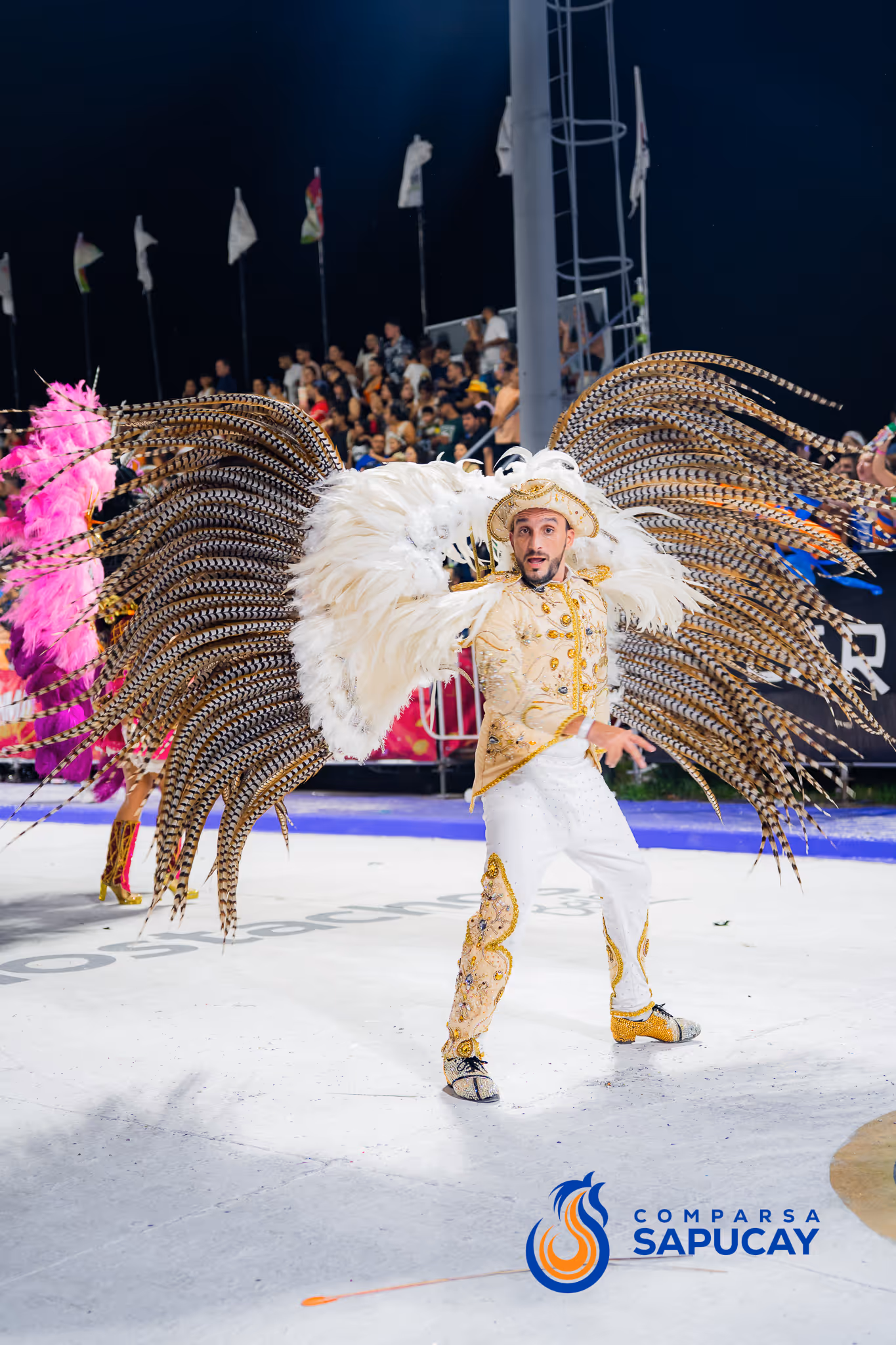 Galería de fotos del corso del Carnaval 2025