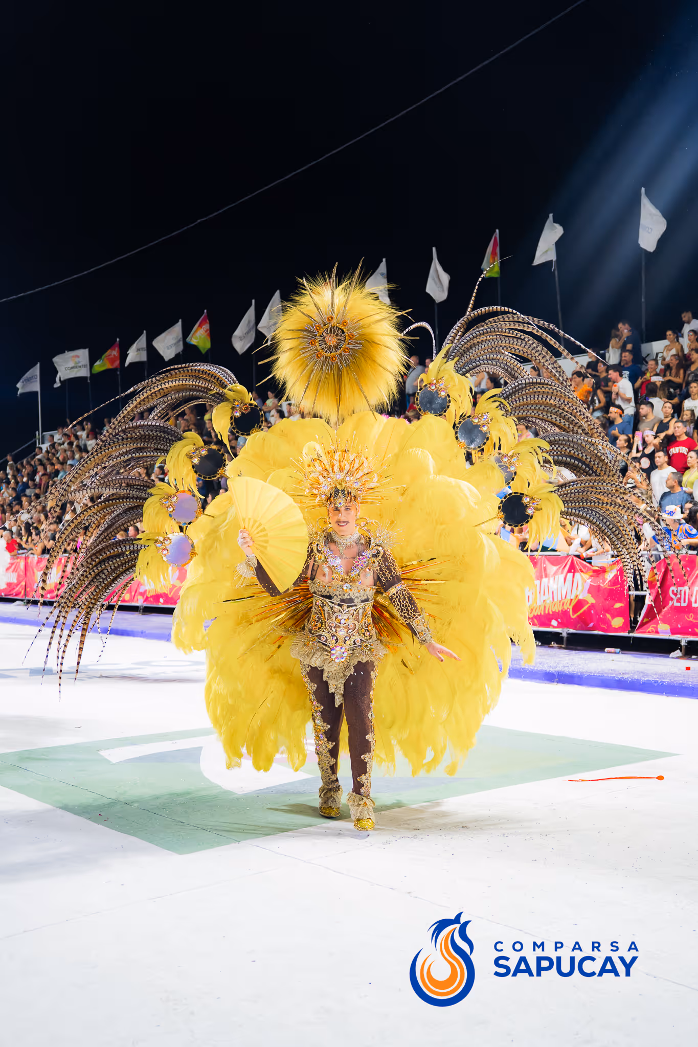 Galería de fotos del corso del Carnaval 2025
